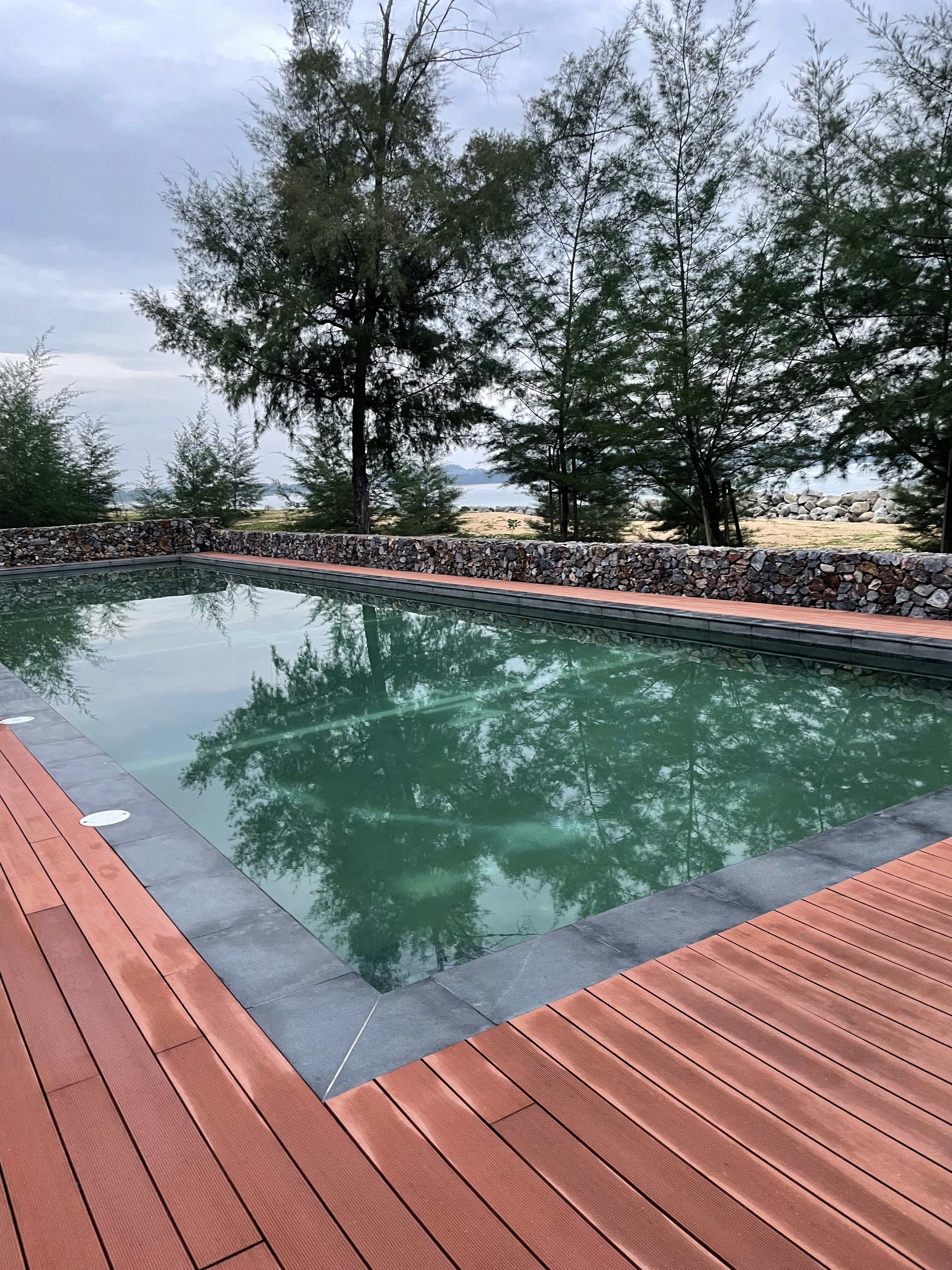 a pool of water with trees around it