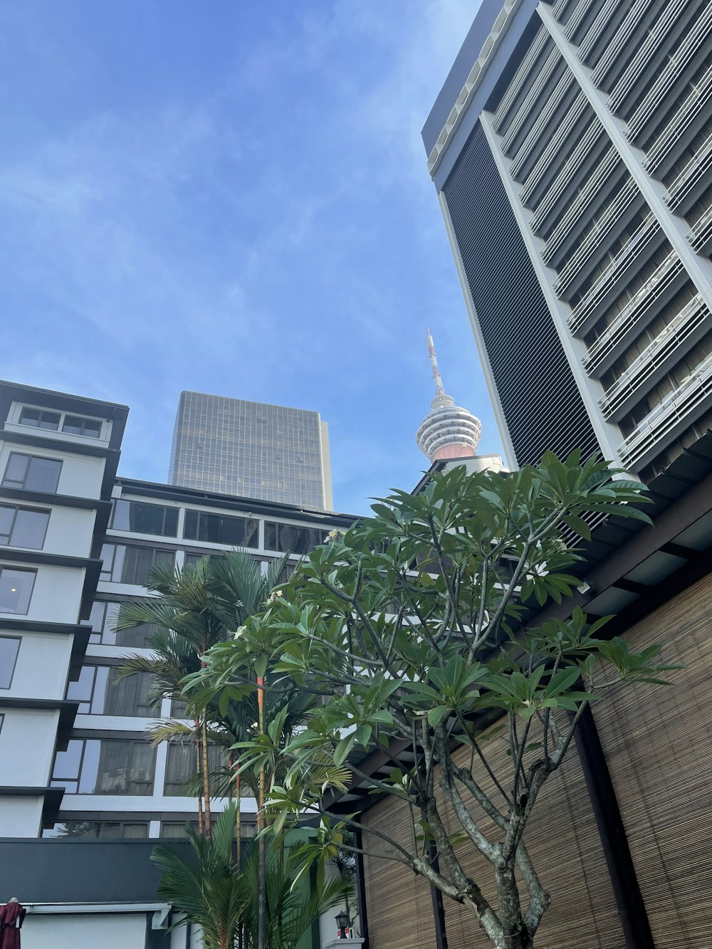 a group of buildings with trees in front of them