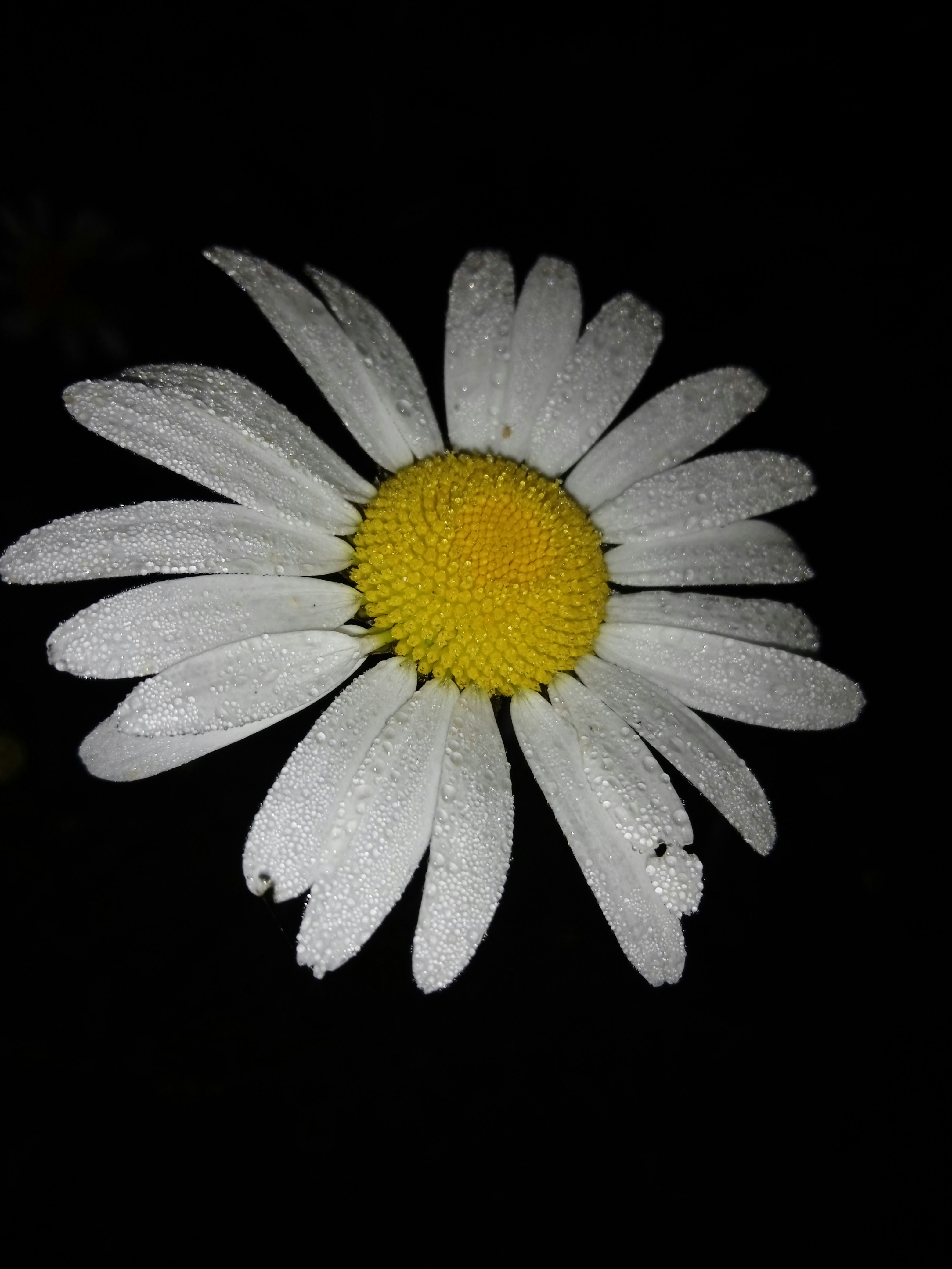 Photo by valentina_19