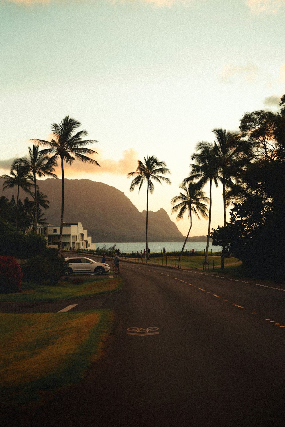 a road with palm trees and a body of water in the background