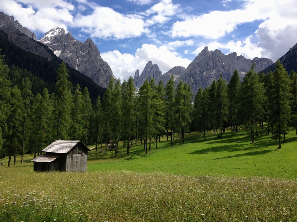a small cabin in a grassy field with trees and mountains in the background
