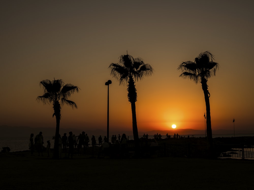 a group of people standing next to palm trees at sunset