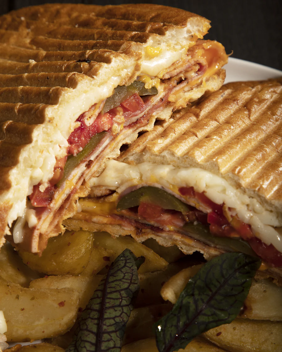 Toasted pressed sandwich