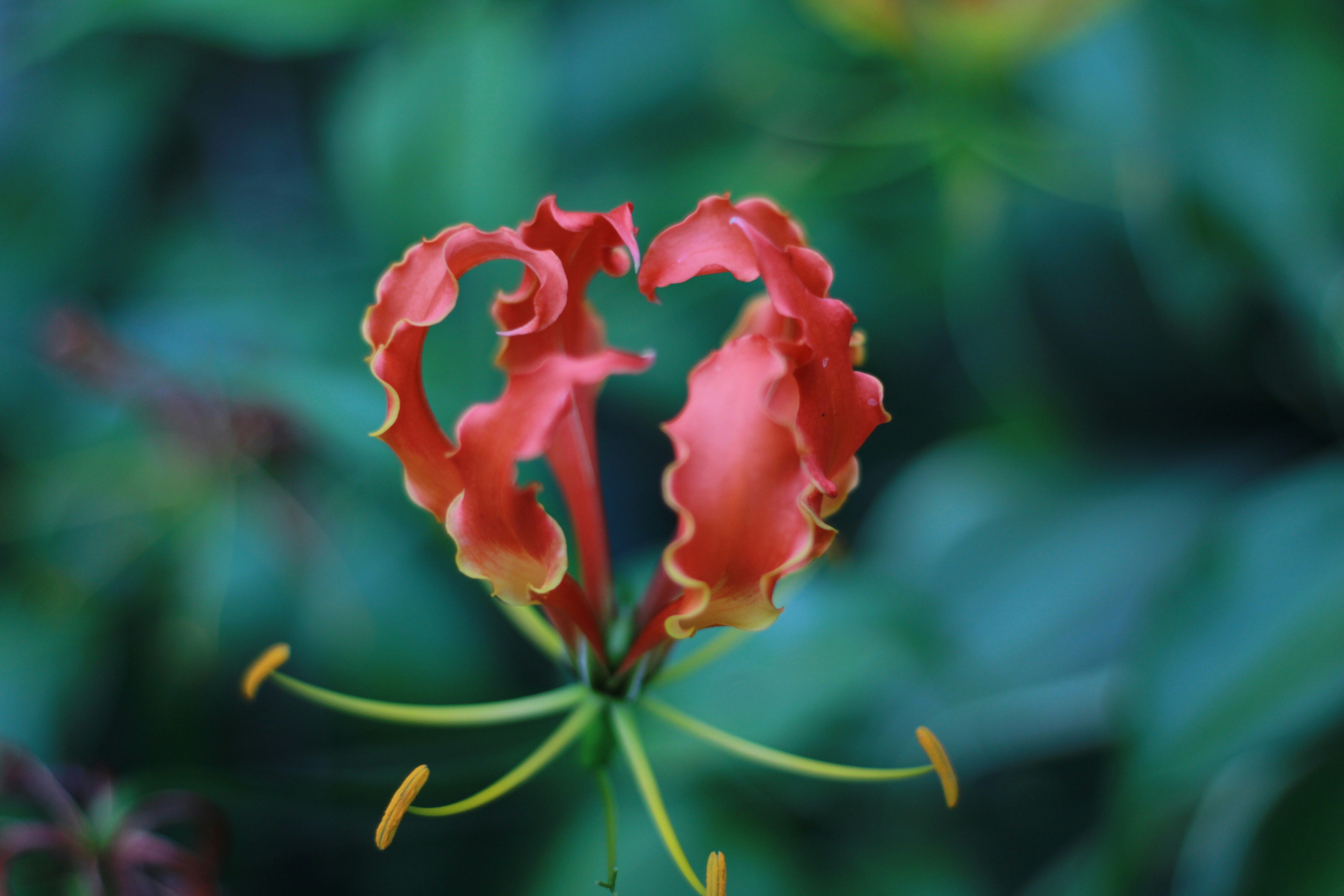 Photo by navarrovisuals