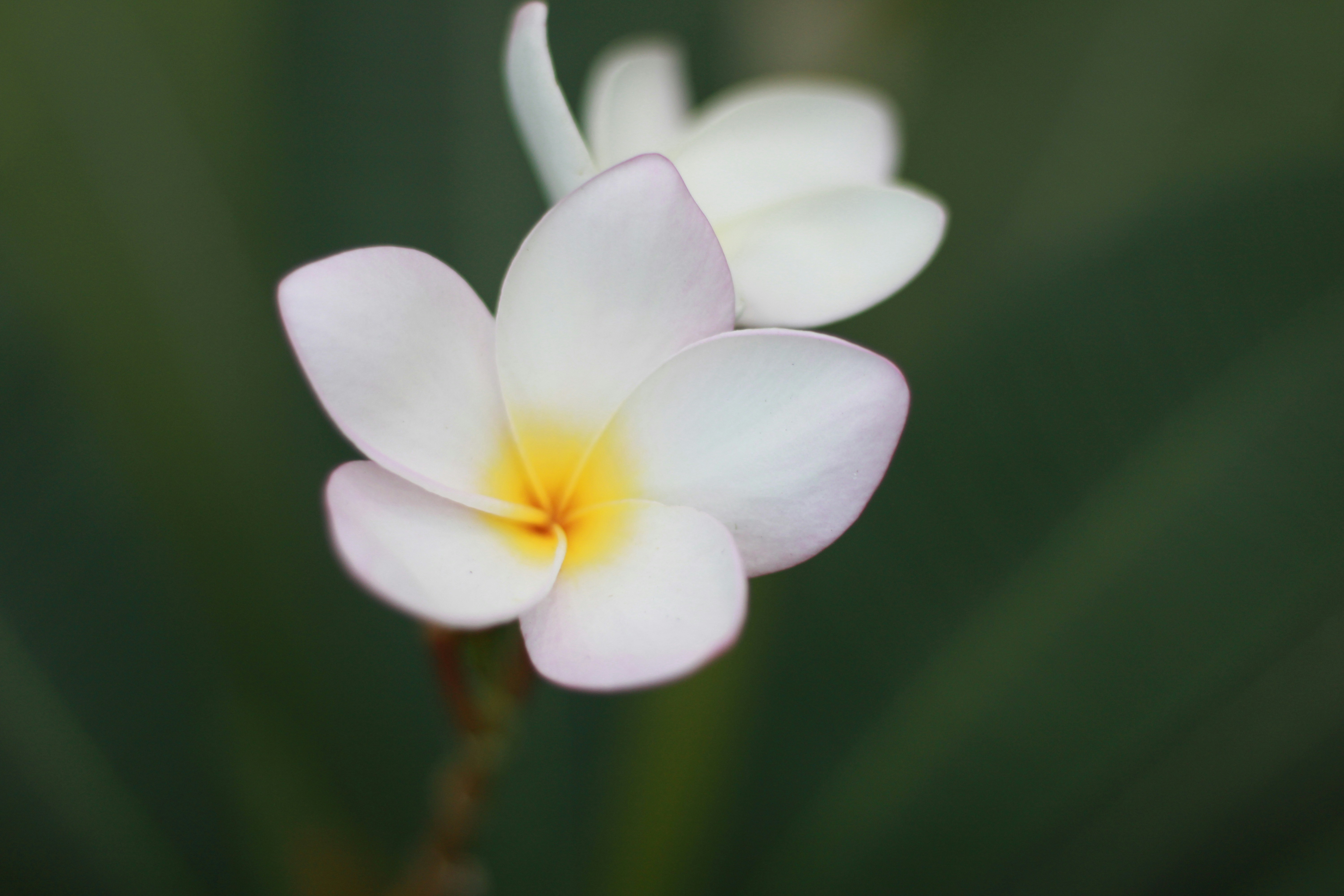 Photo by navarrovisuals