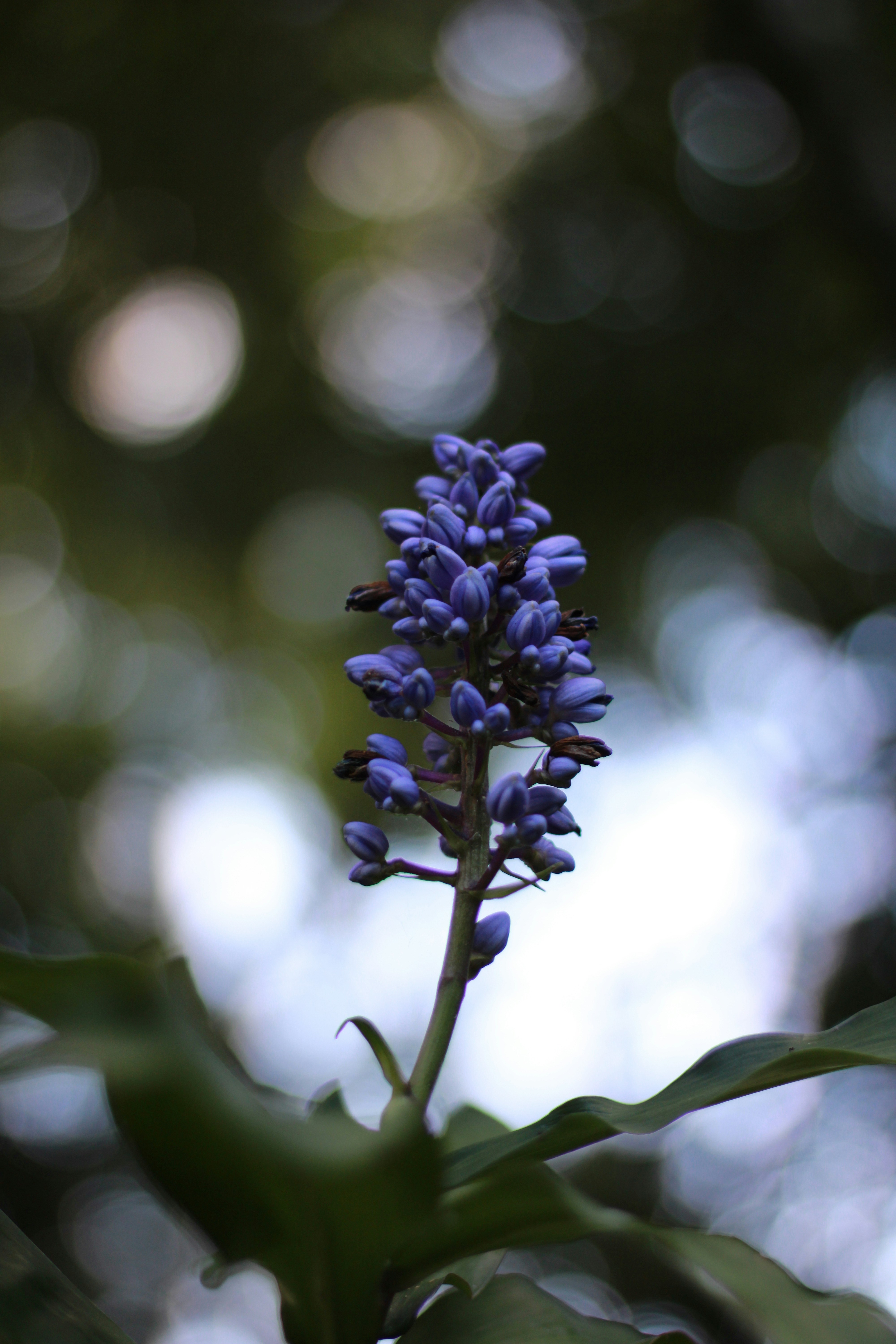 Photo by navarrovisuals