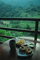 A peaceful morning view from the hostel balcony overlooking lush greenery.