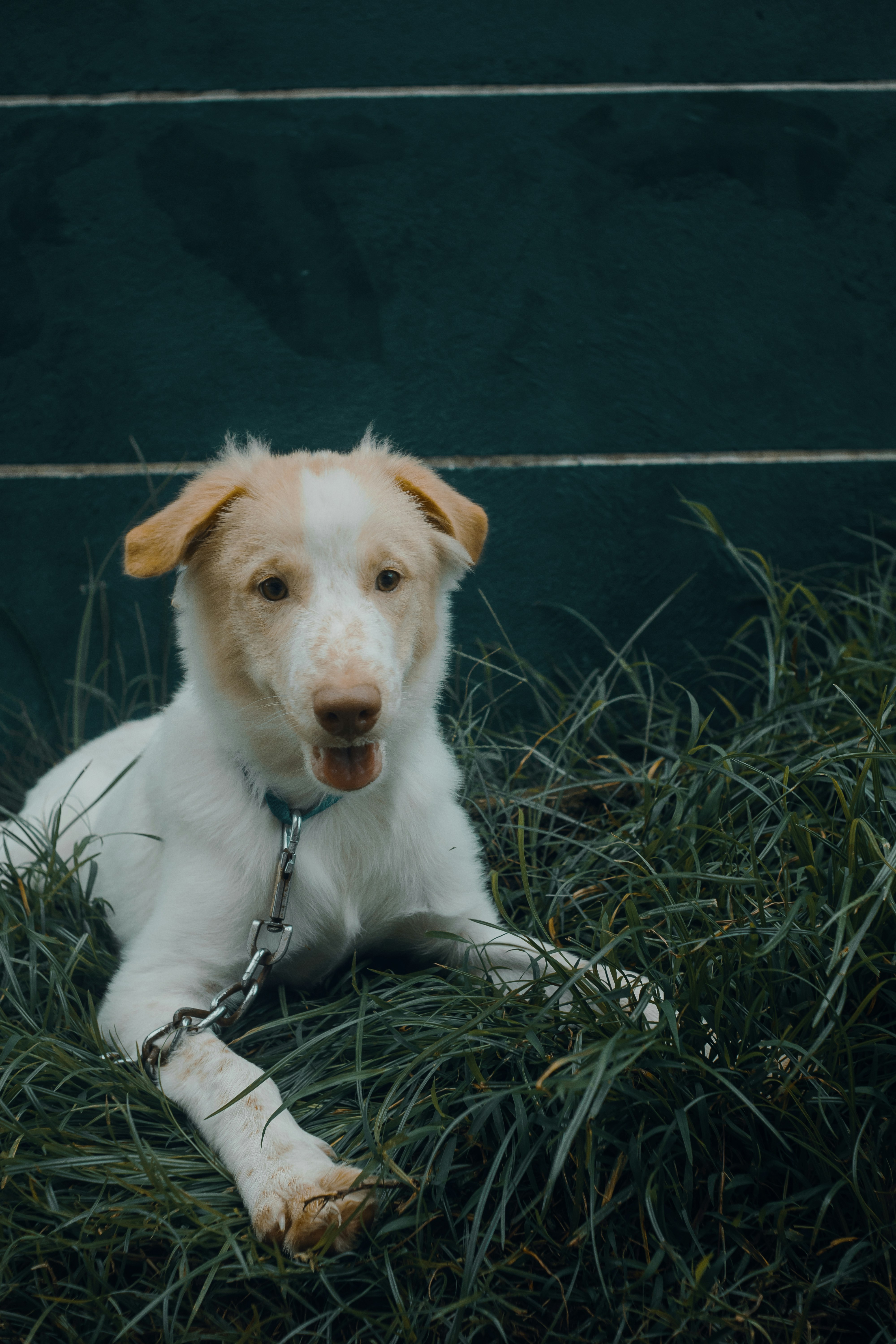 Photo by roadahead_2223