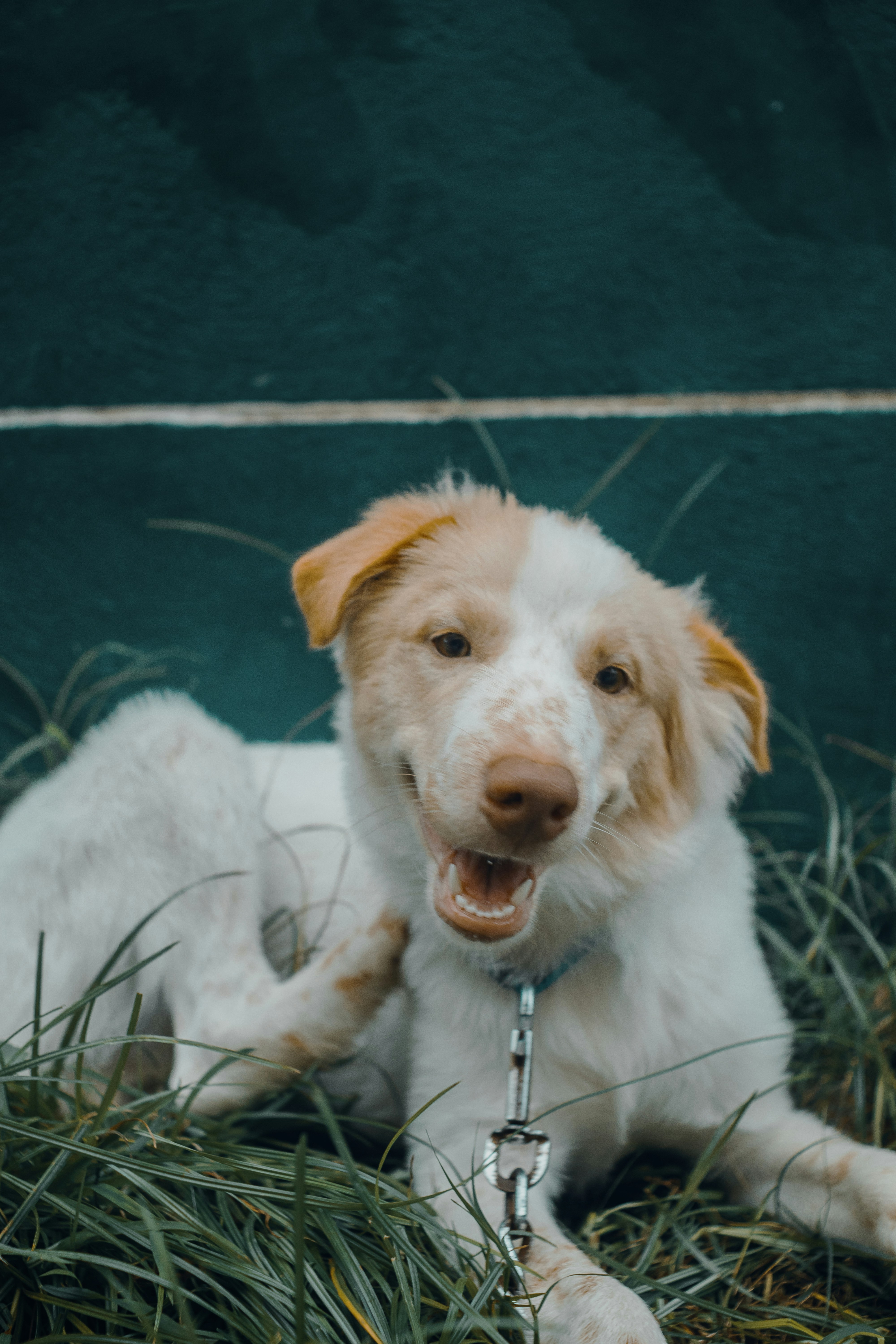 Photo by roadahead_2223