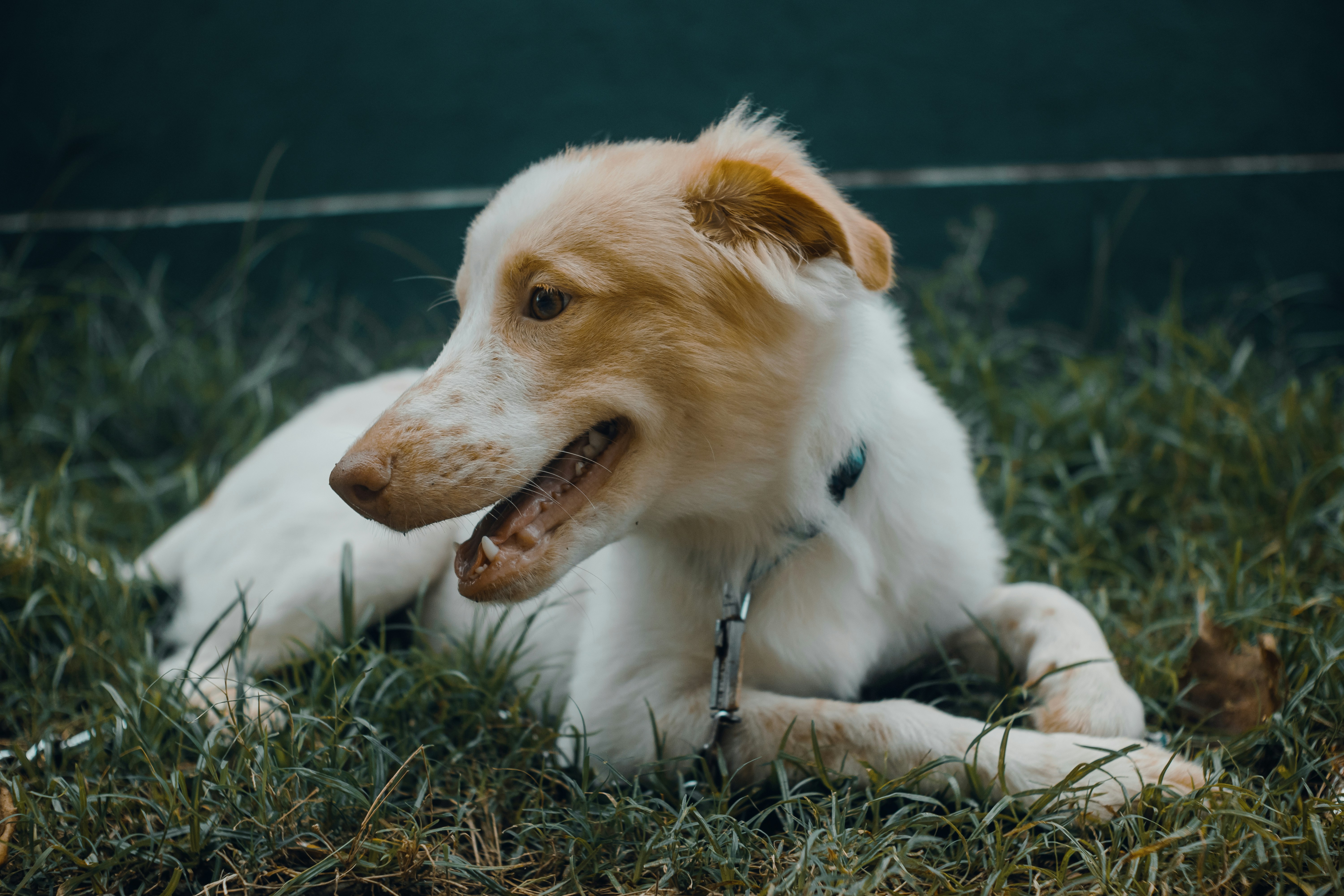 Photo by roadahead_2223