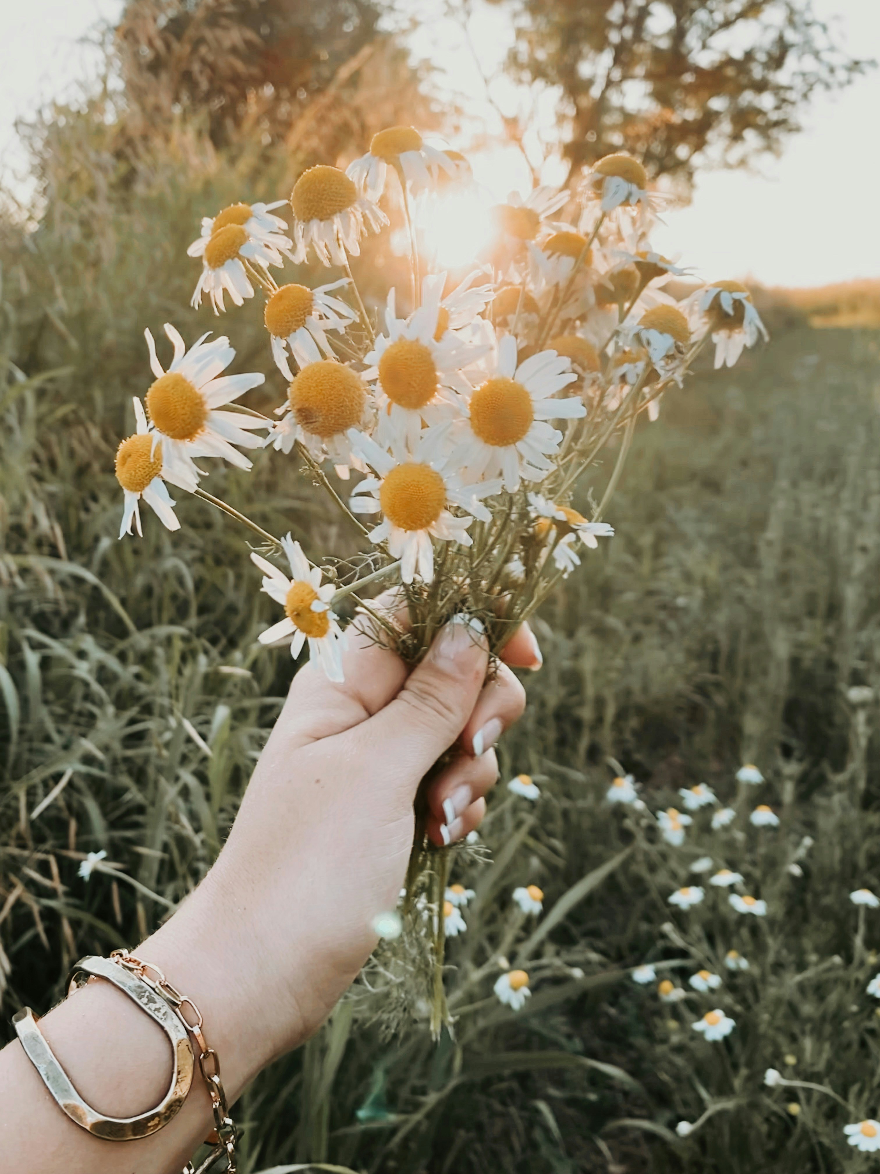 Photo by the_emmersen_1