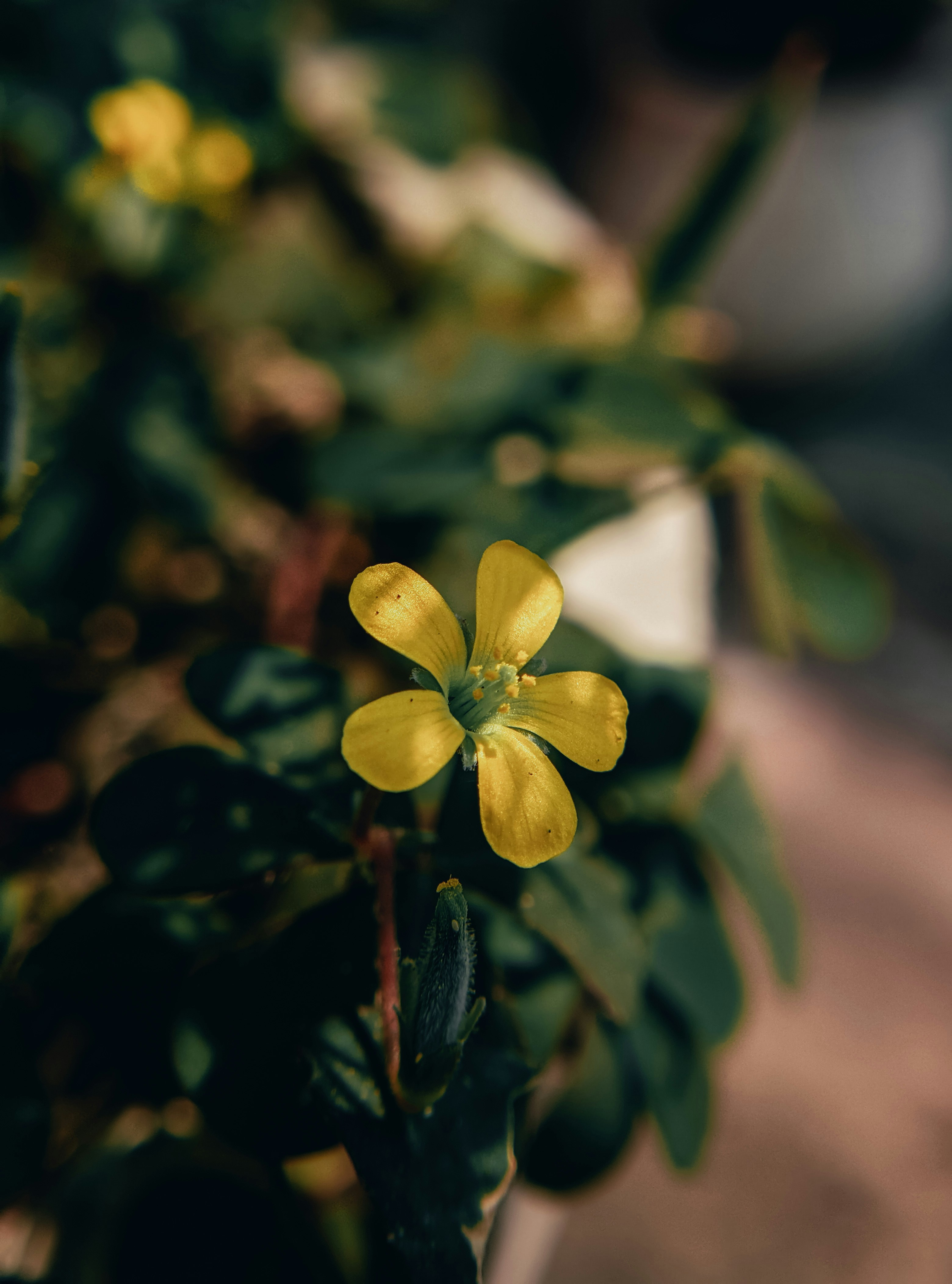 Photo by misfit__kid