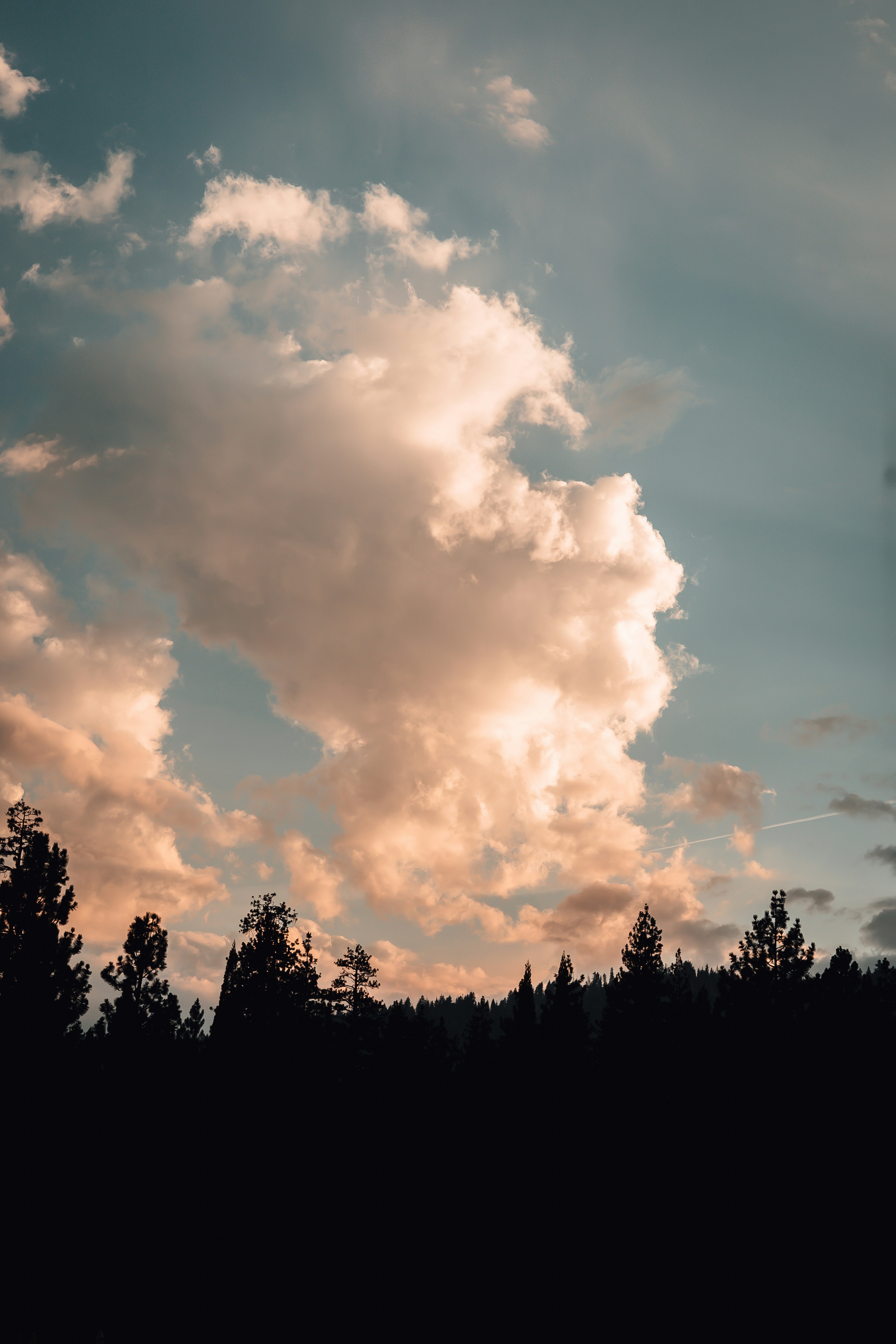 Photo by jeffersonsees