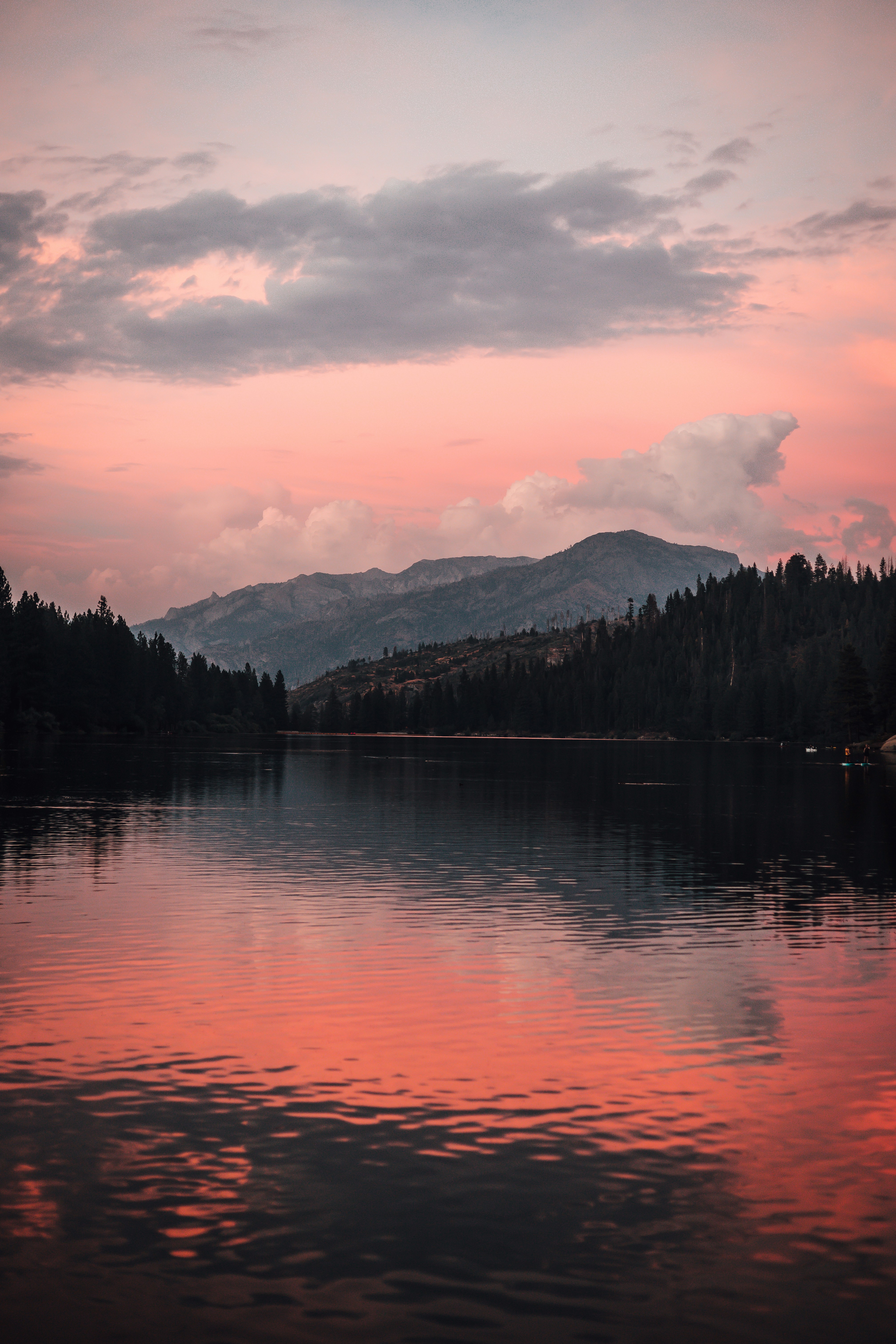 Photo by jeffersonsees