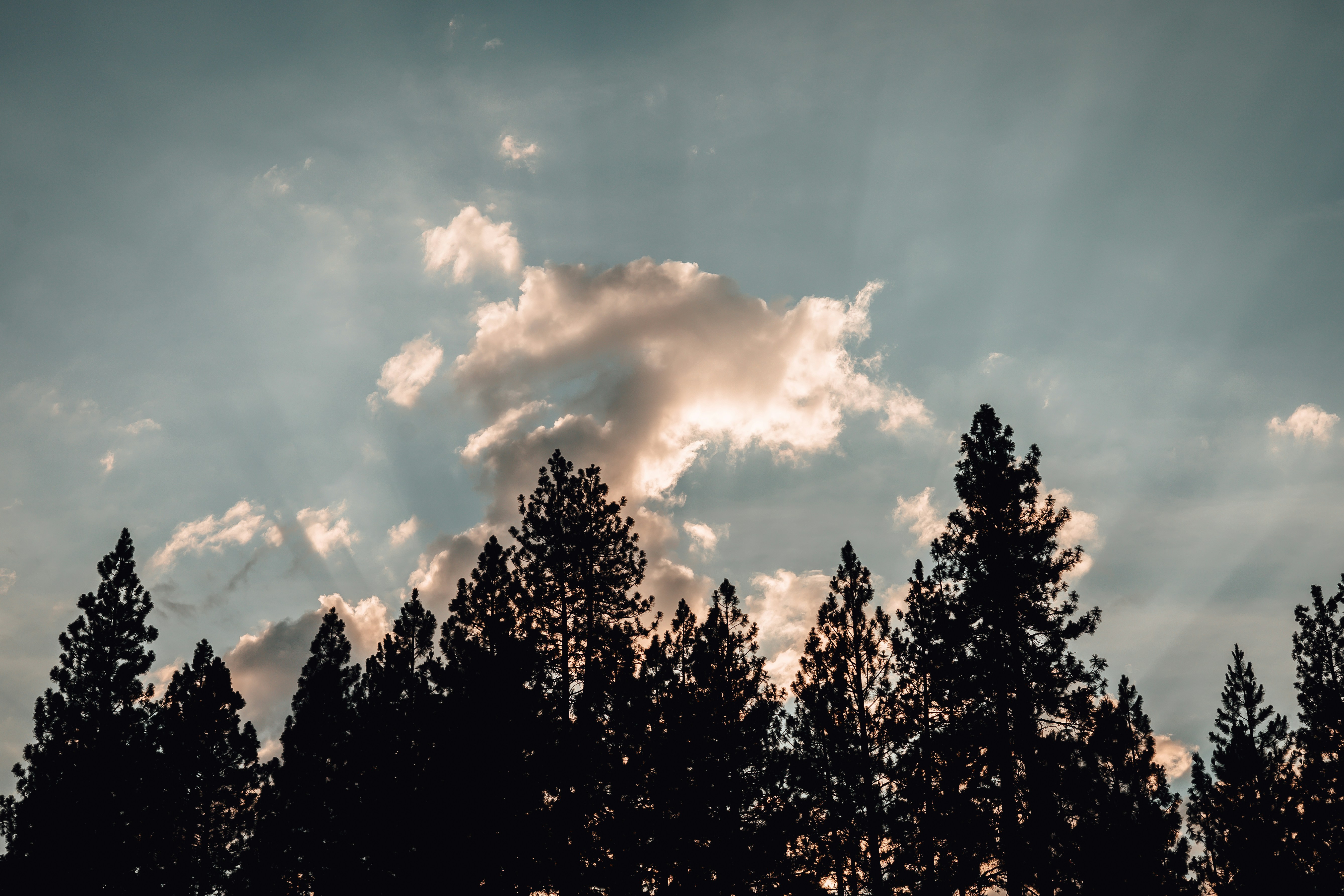 Photo by jeffersonsees