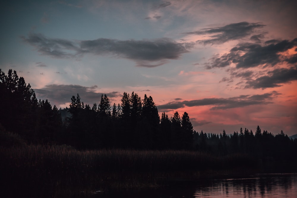 a body of water with trees and a cloudy sky above