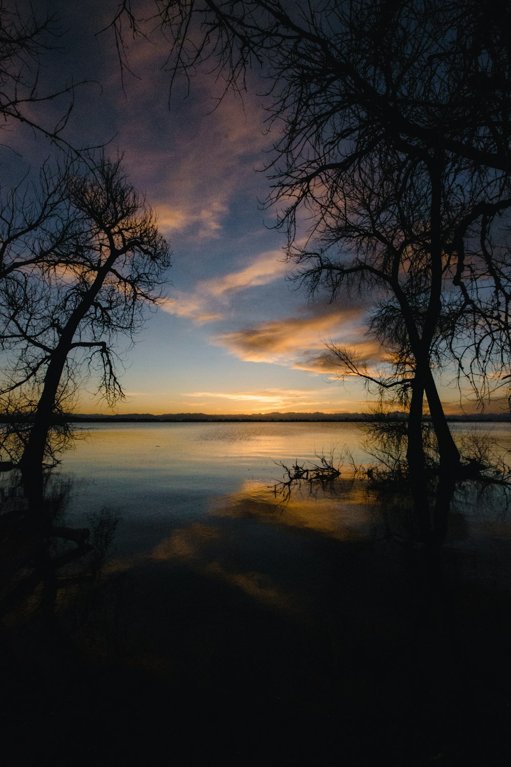 uno specchio d'acqua con alberi intorno