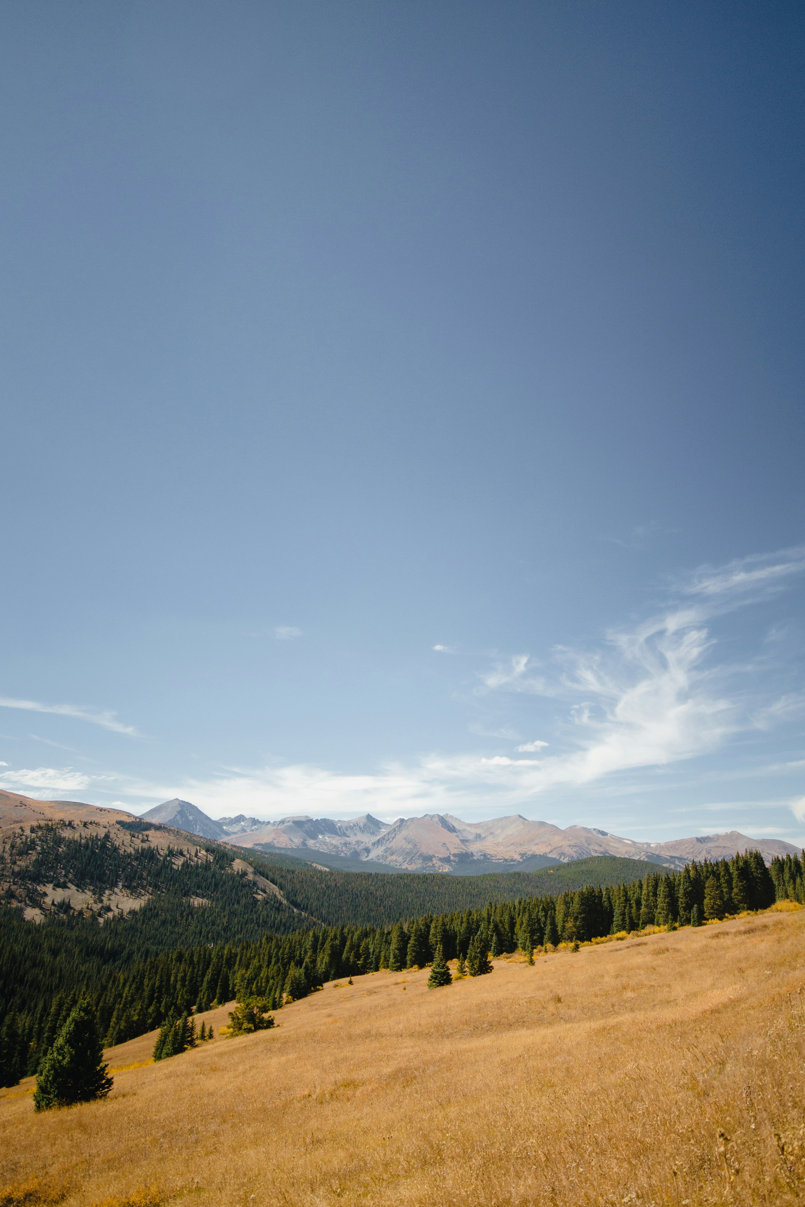 Photo by missmeg_mac