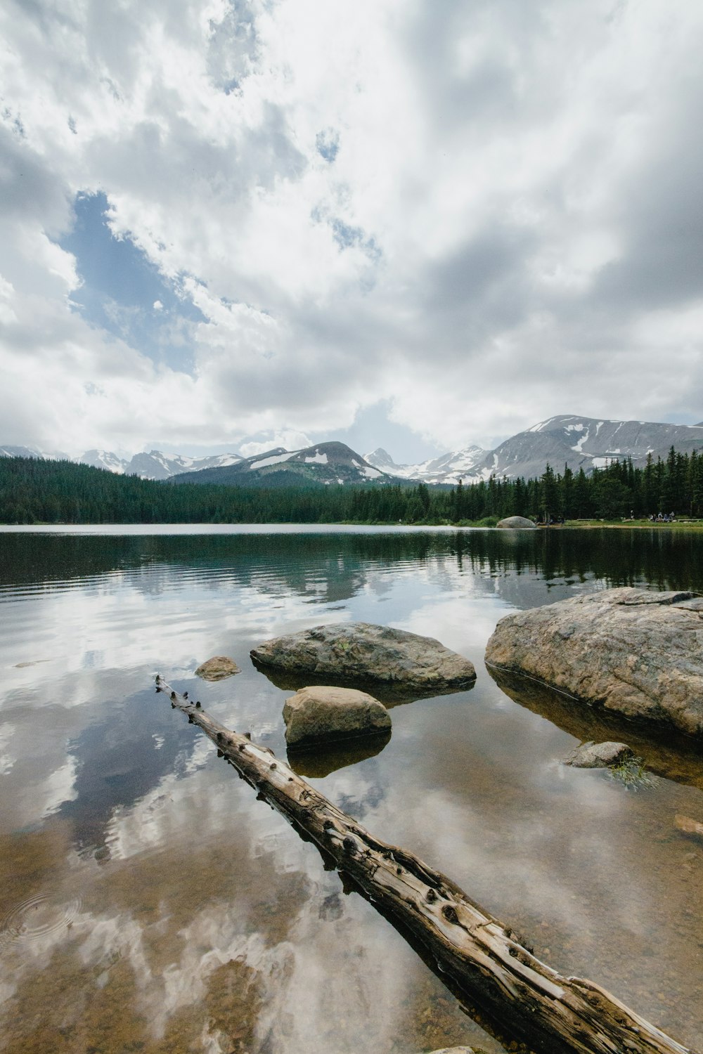 a lake with rocks and trees