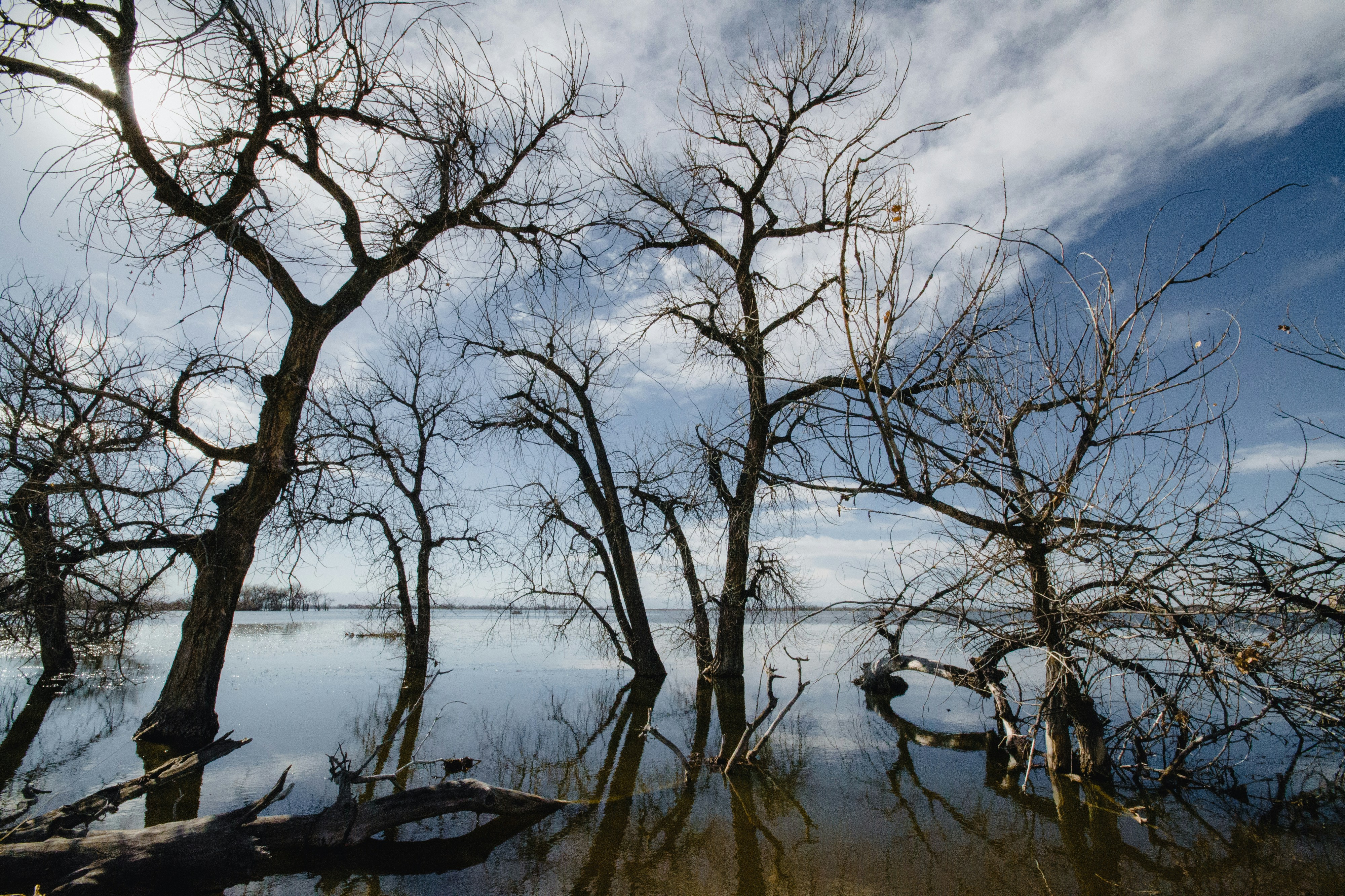 Photo by missmeg_mac