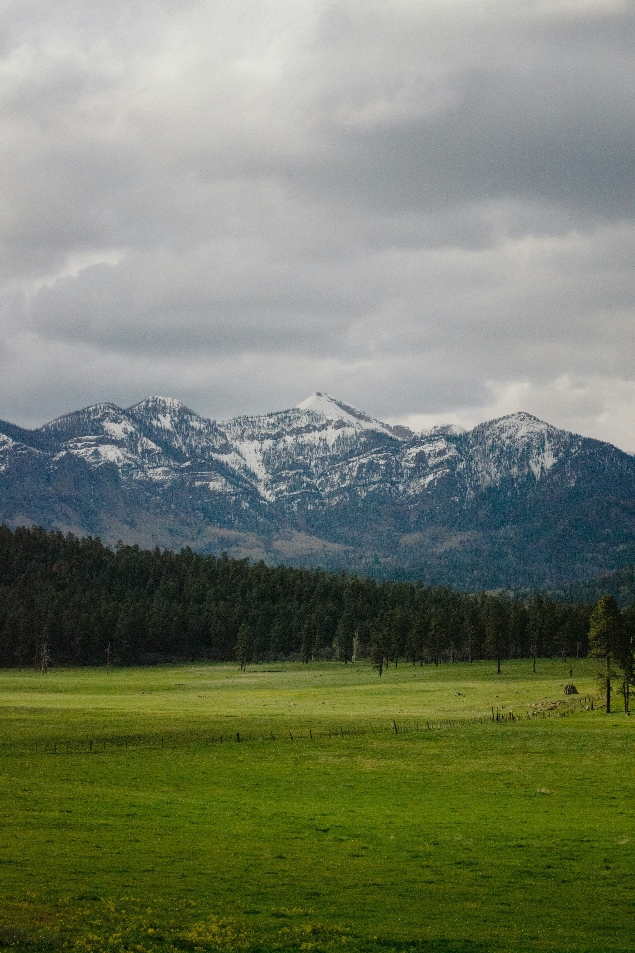 Photo by missmeg_mac