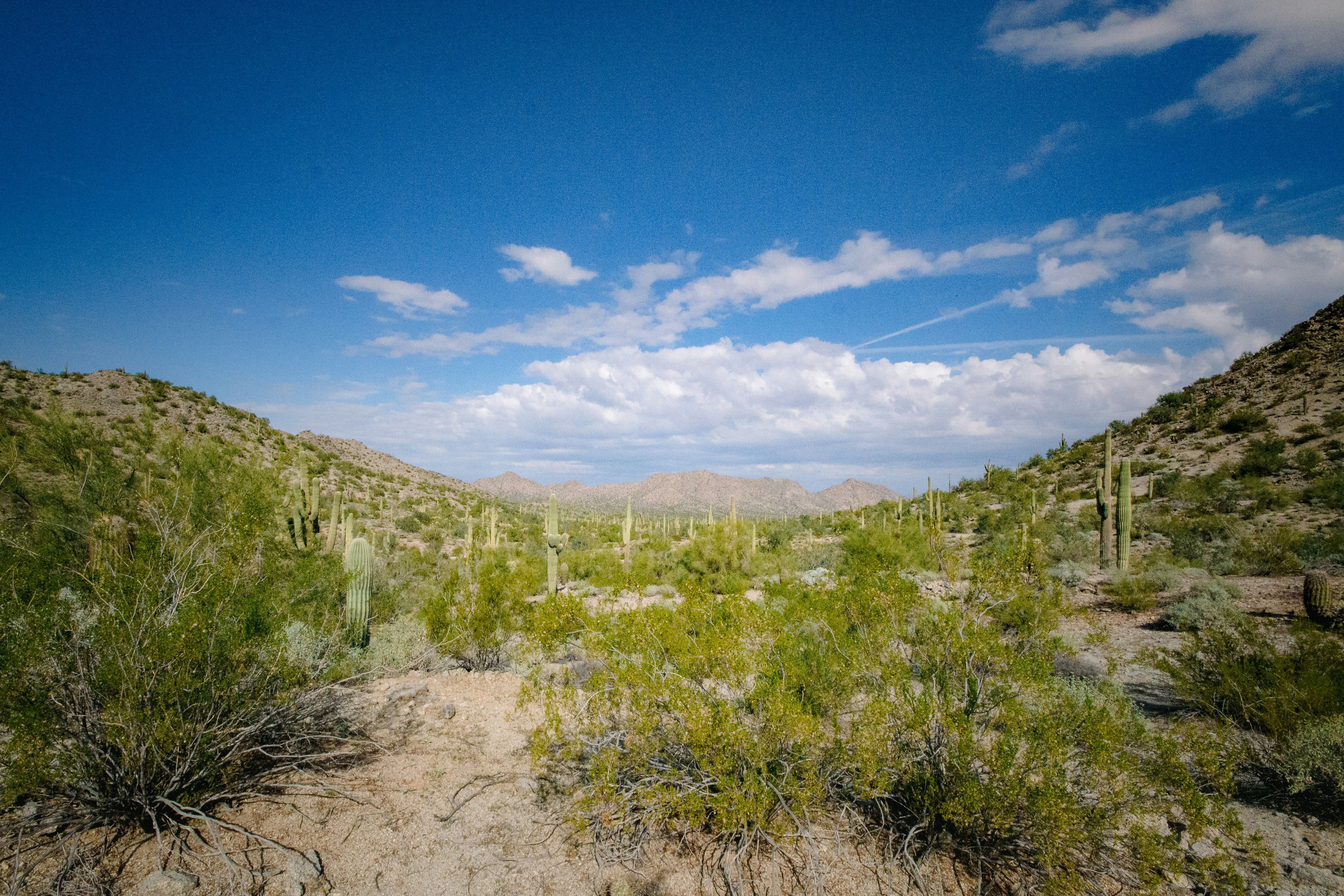 a dirt road in the mountains