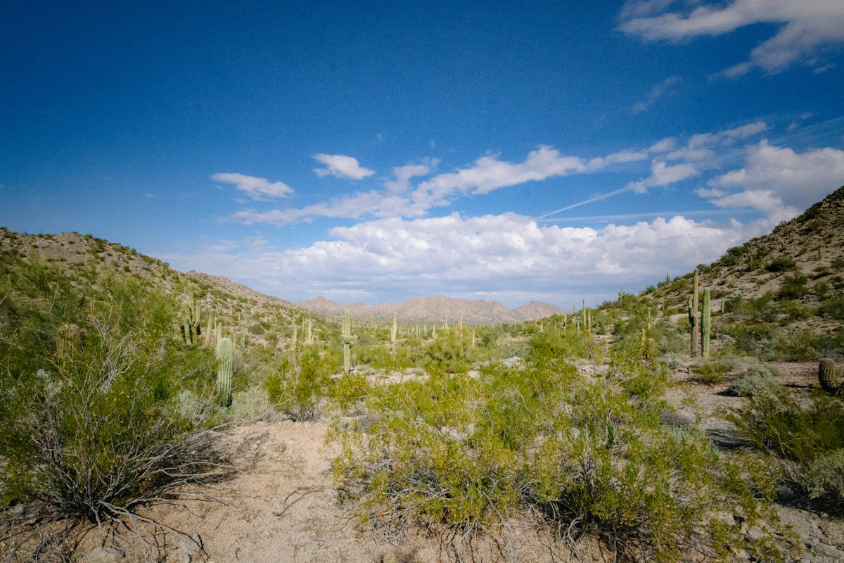 Desert dirt road representative of rural acreage terrain in western Arizona
