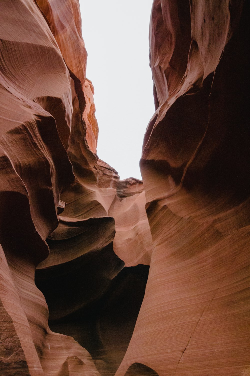 a close-up of a canyon