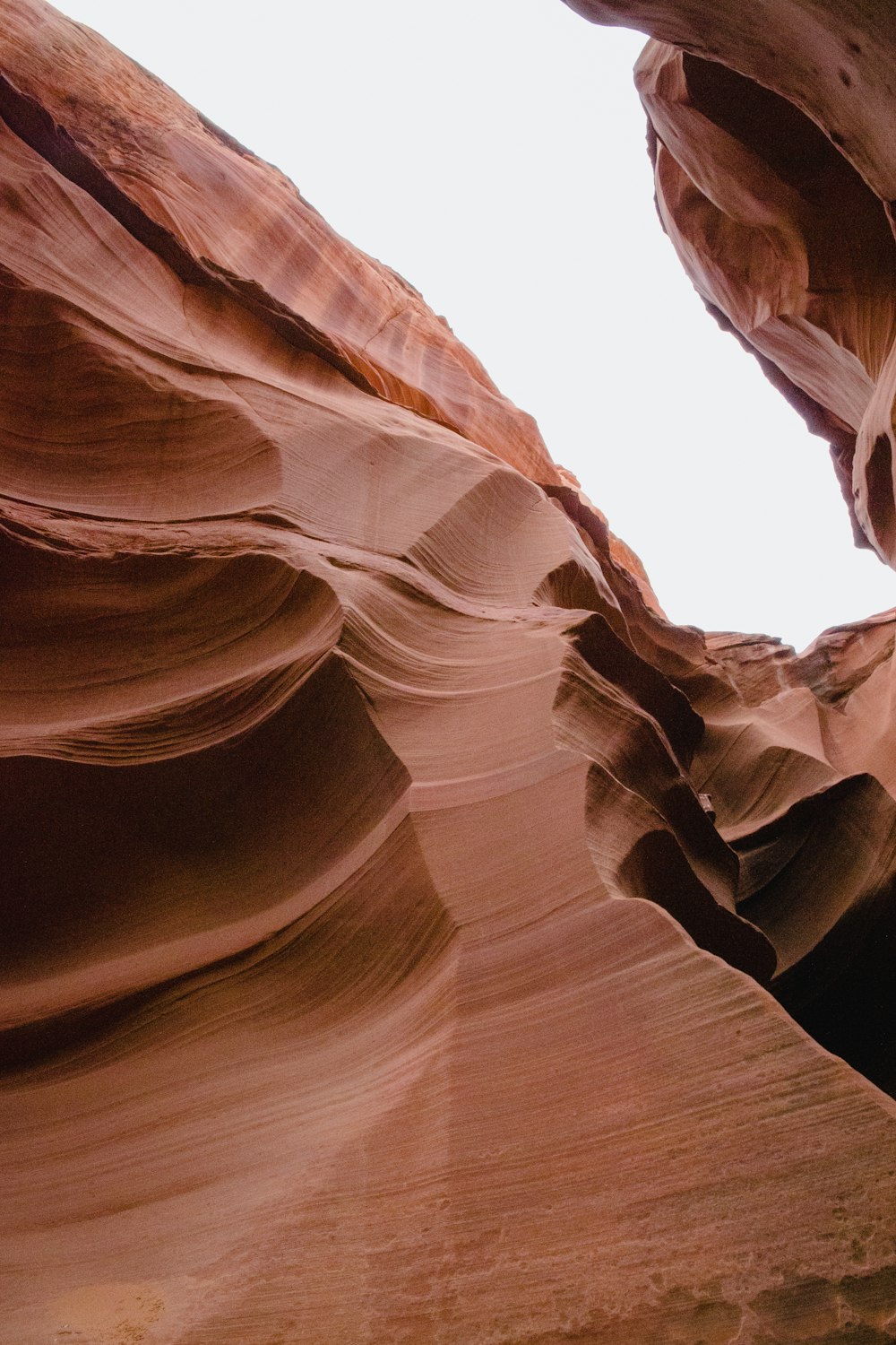 a close-up of a canyon