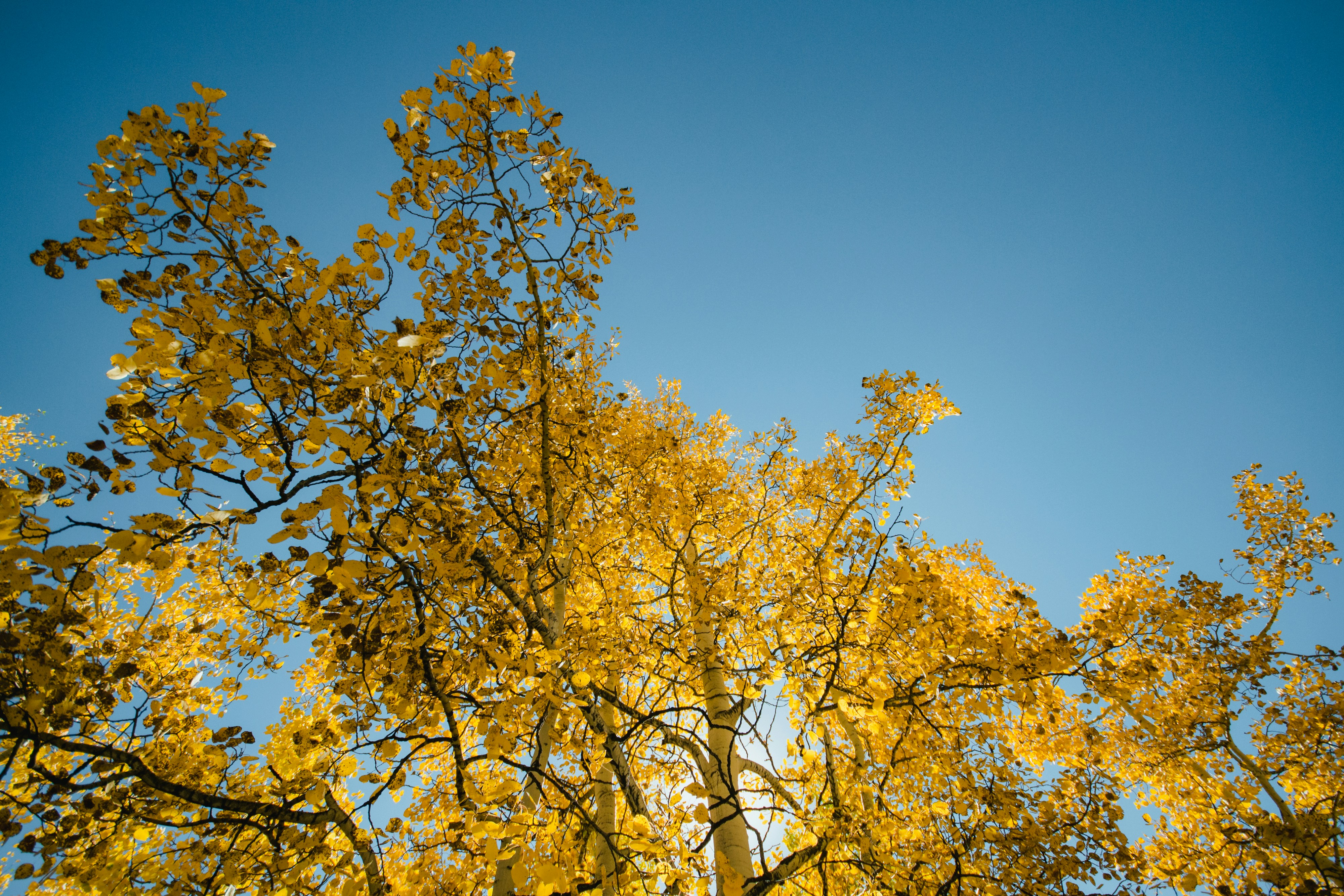 Photo by missmeg_mac