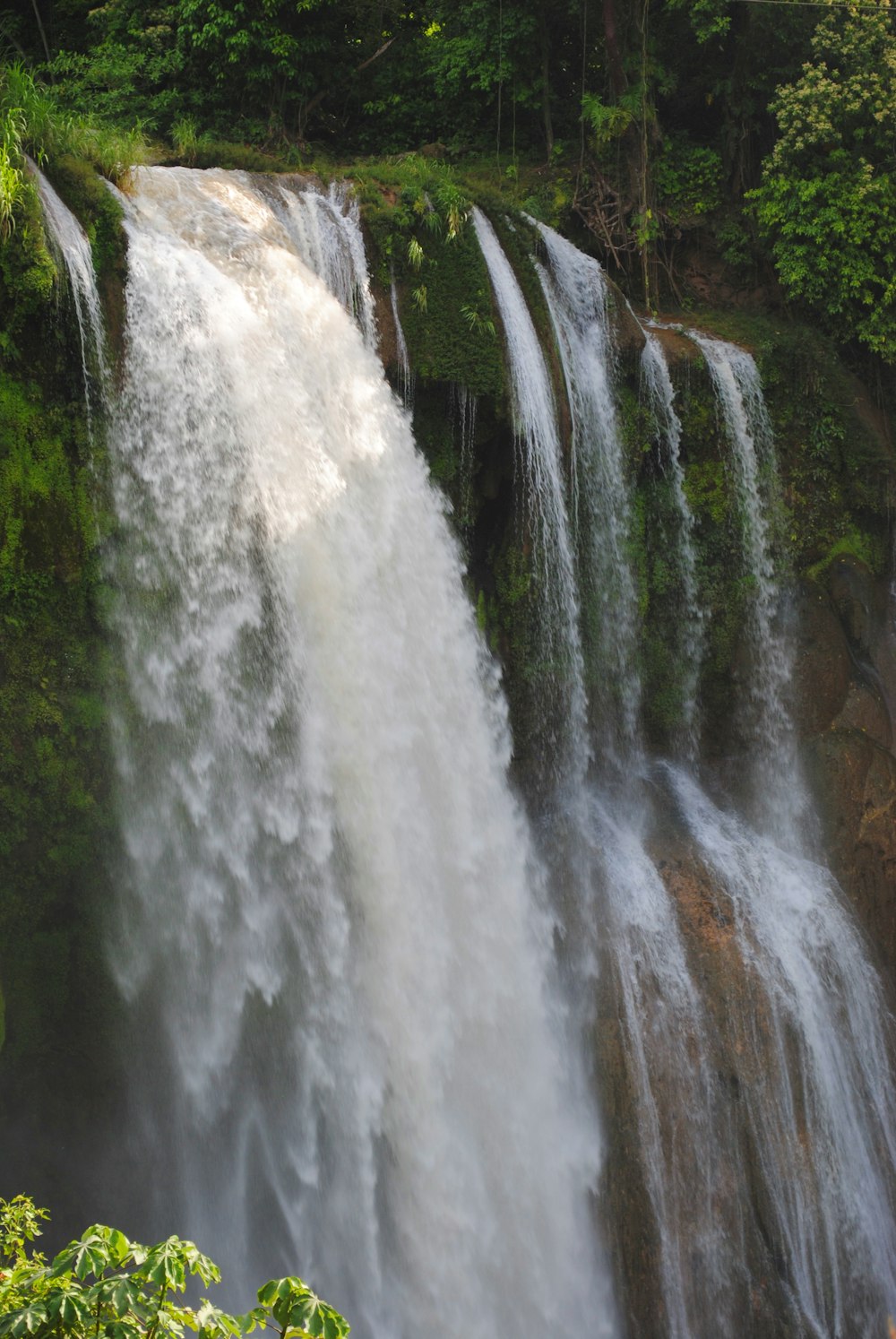 a waterfall in a forest