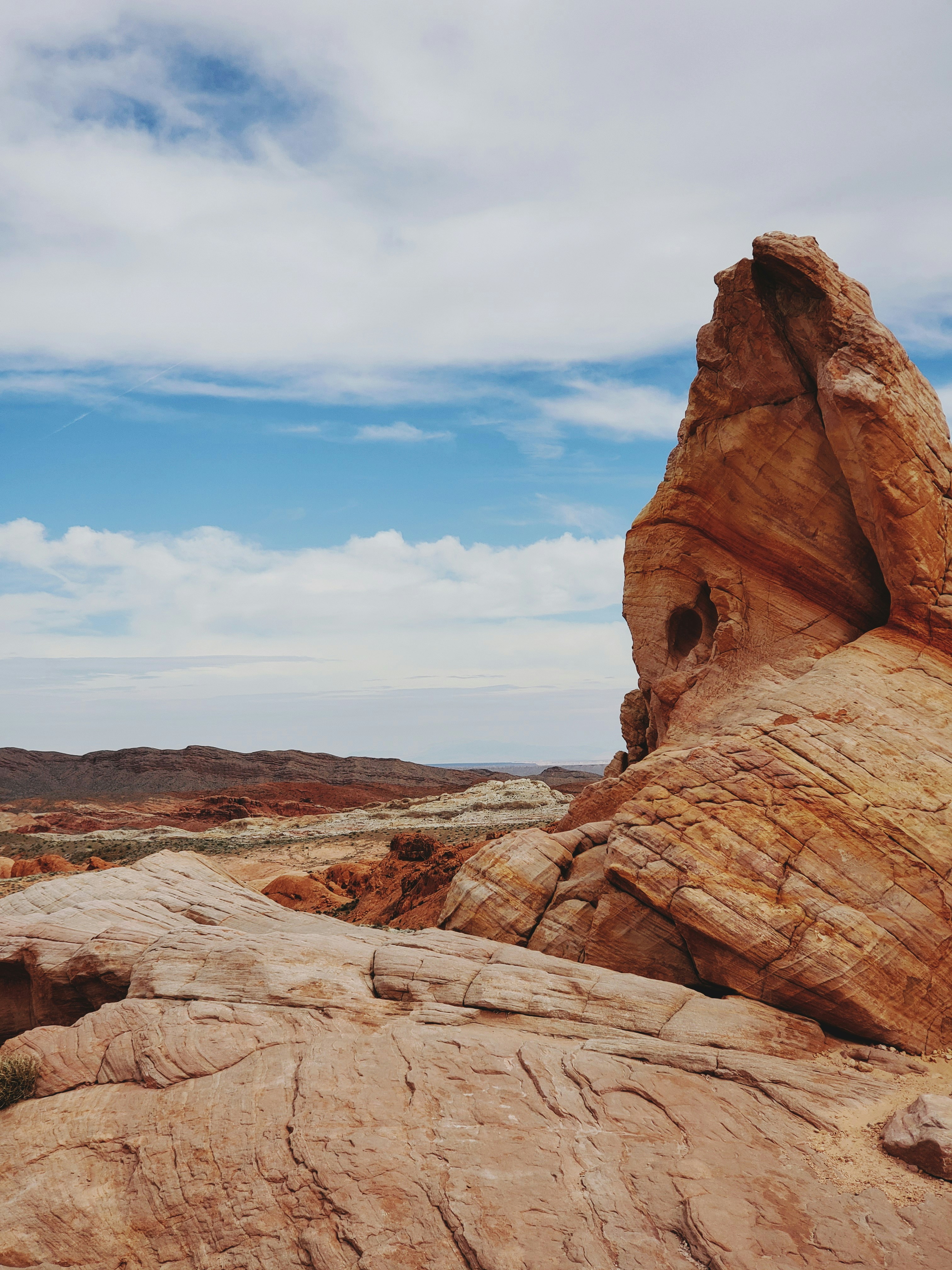 Photo by phonephotos