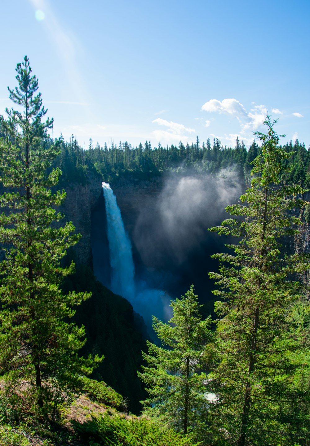 a waterfall in a forest