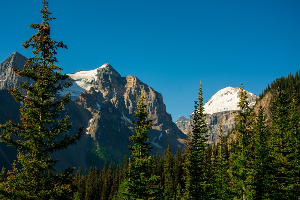 a mountain range with trees