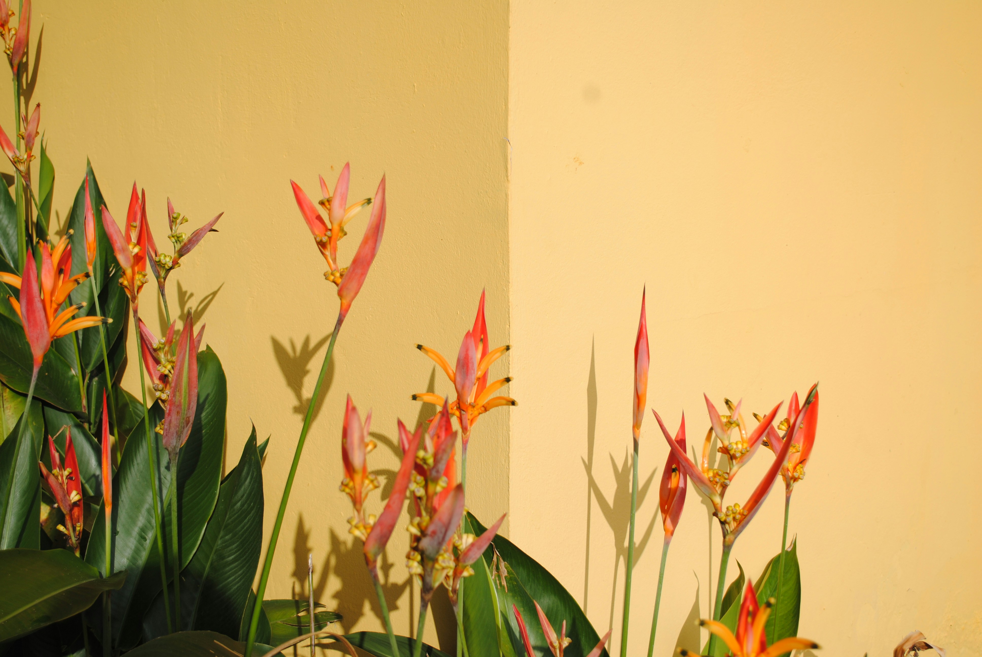 Photo by curiousjorge