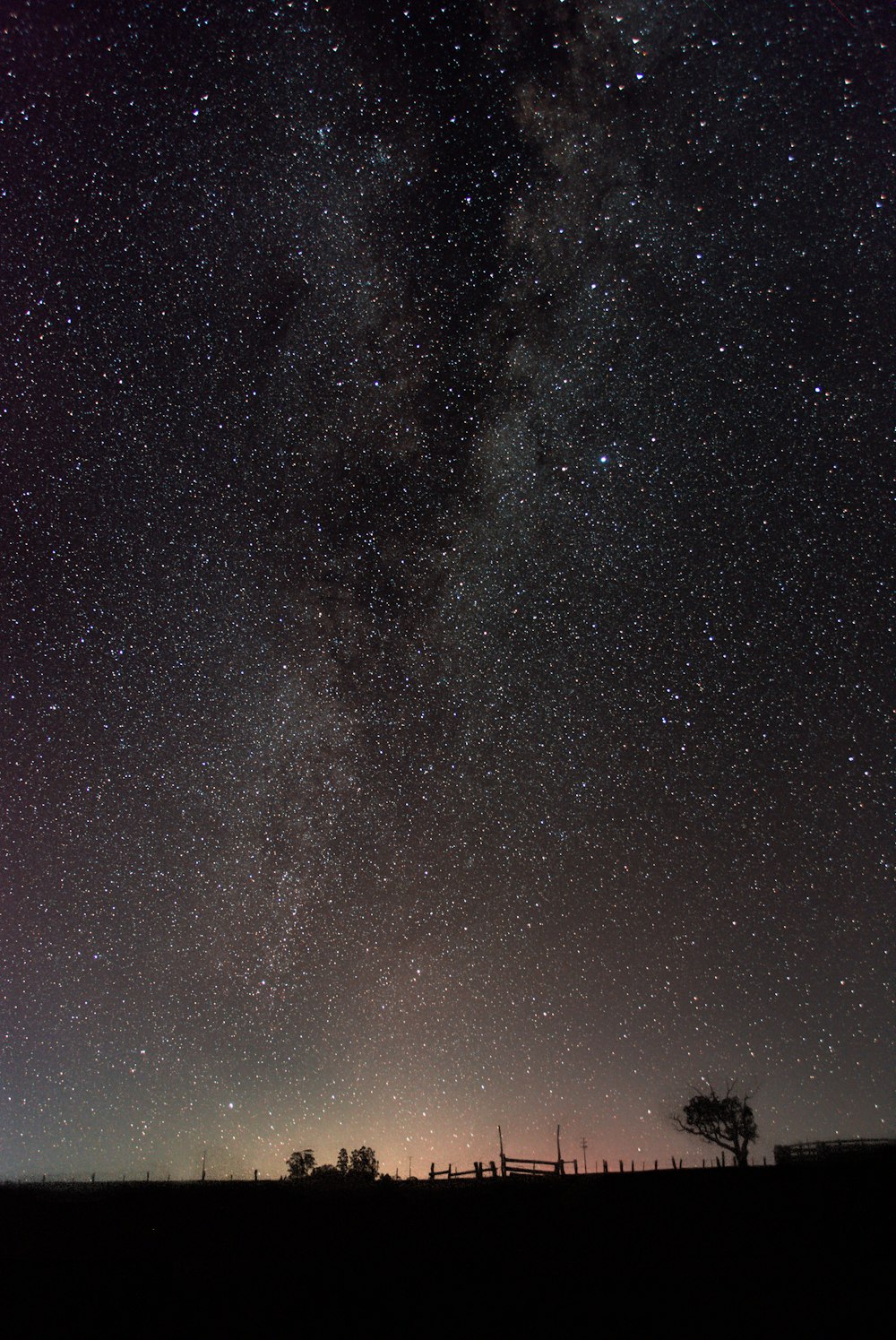 a starry night sky with trees