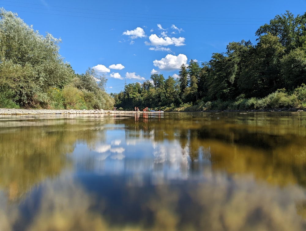 a body of water with trees around it