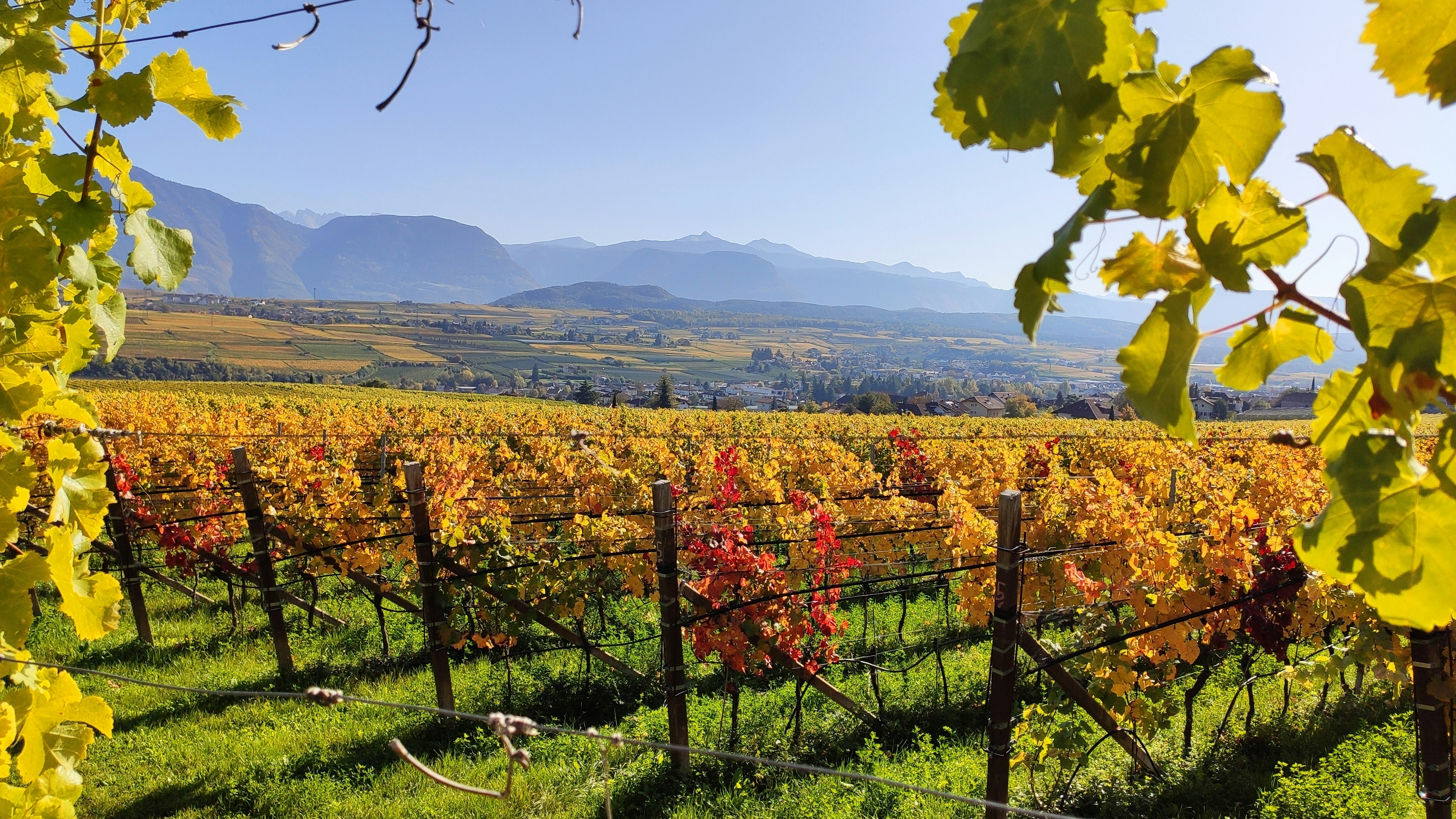 Photo by hunterweger