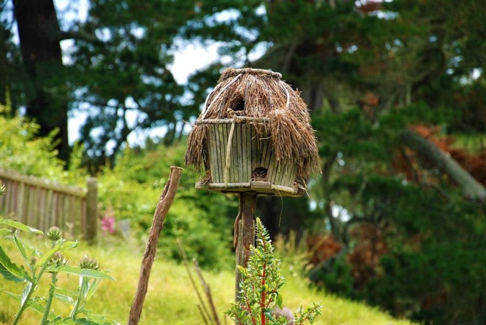 a birdhouse in a garden