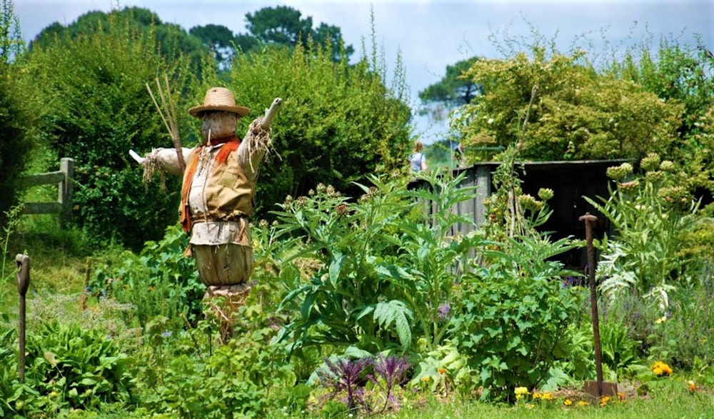 Eine Person in einem Garten