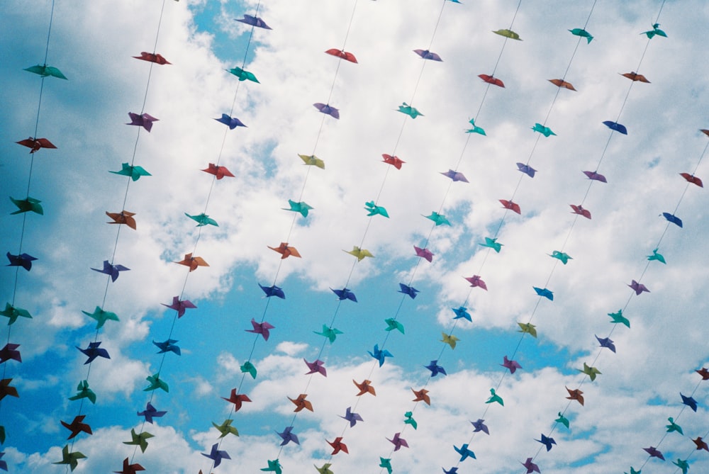 a white background with many colorful butterflies