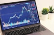 A laptop displays a financial trading platform with a candlestick chart showing stock market data. The chart is colorful, with blue and orange bars representing volume, and fluctuating lines indicating stock prices over time. Surrounding the laptop are two small potted plants on a white surface.