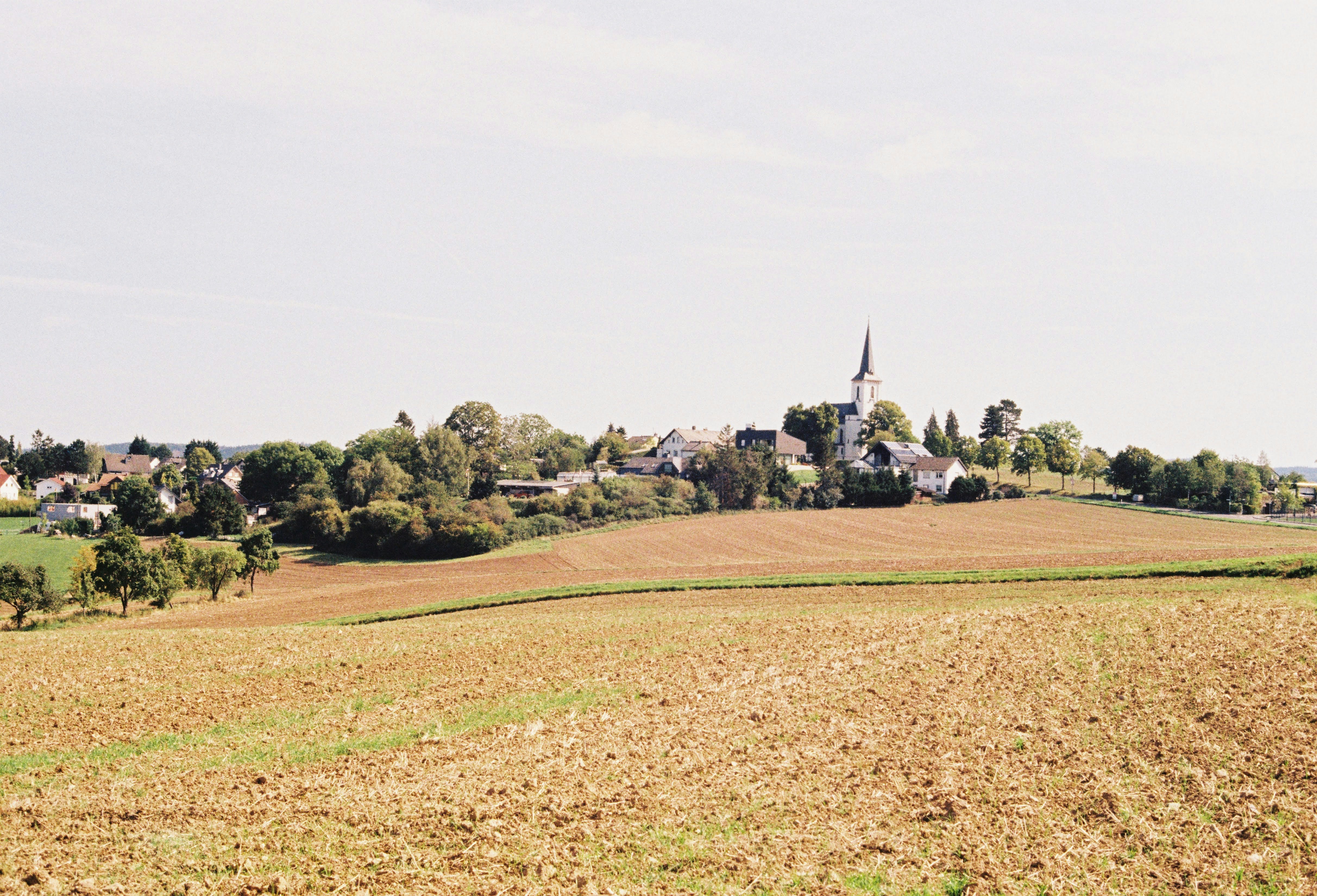 Shot on Kodak Gold 200 with Canon AE-1
