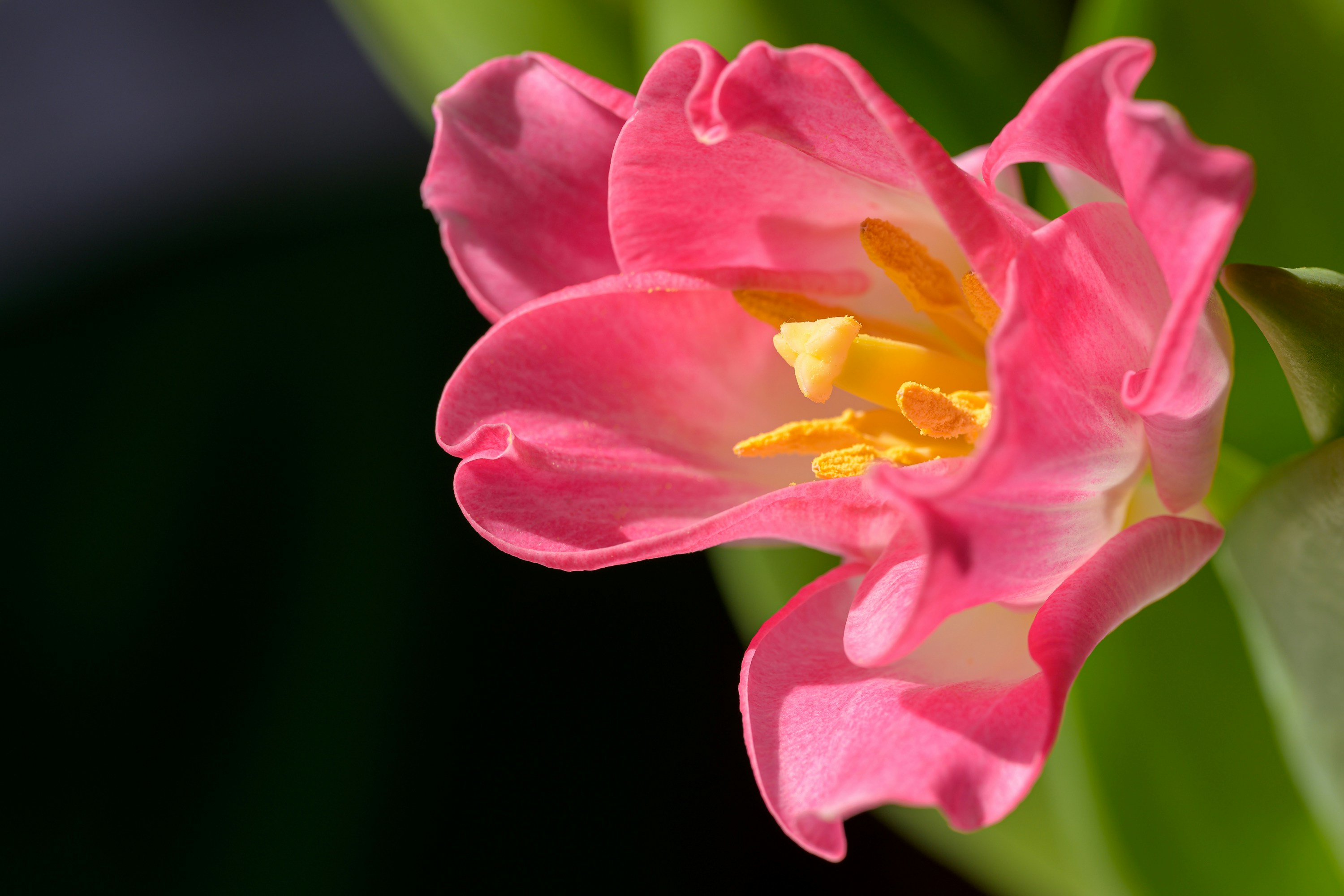 Photo by bmeyendriesch