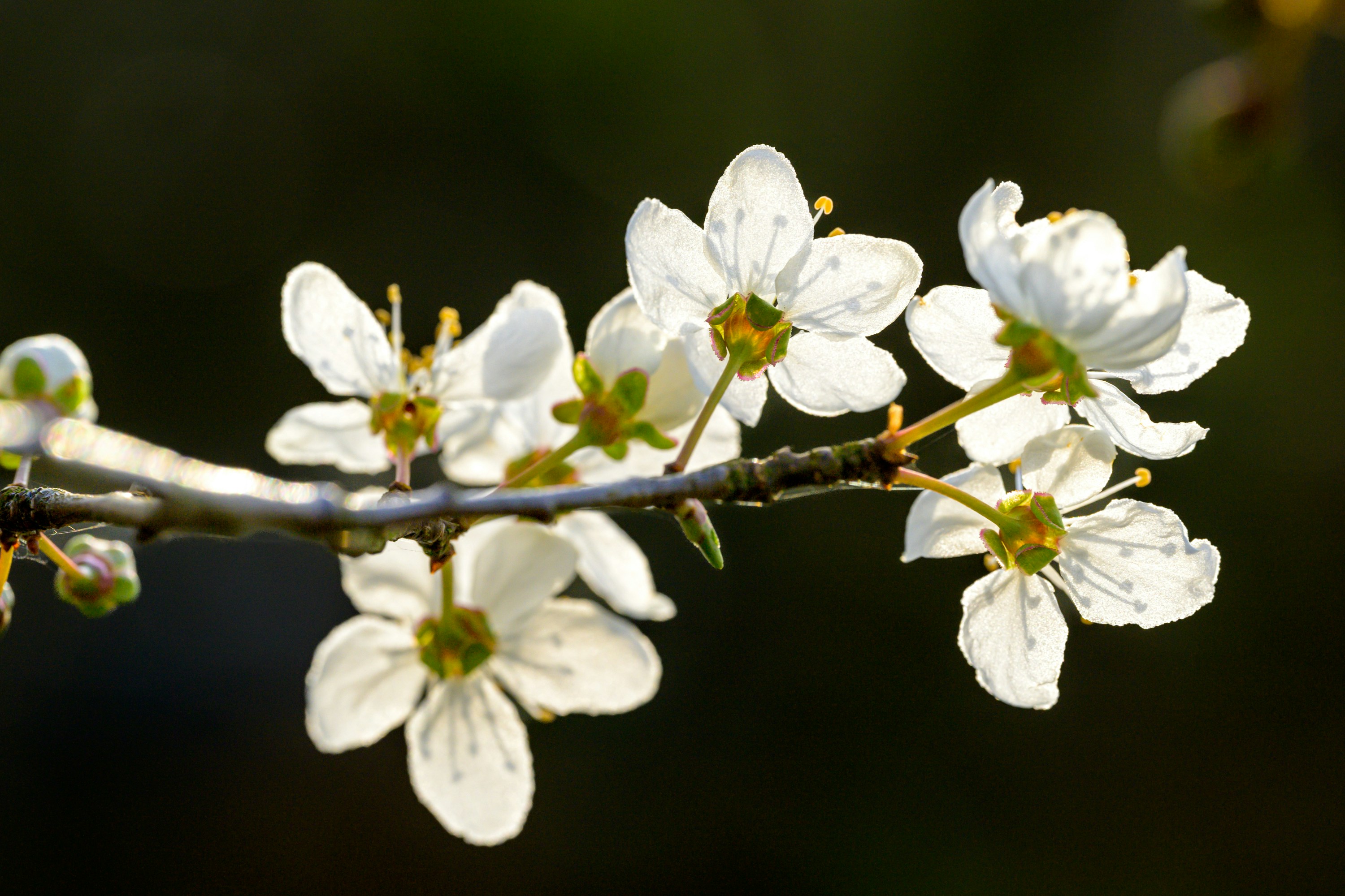 Photo by bmeyendriesch