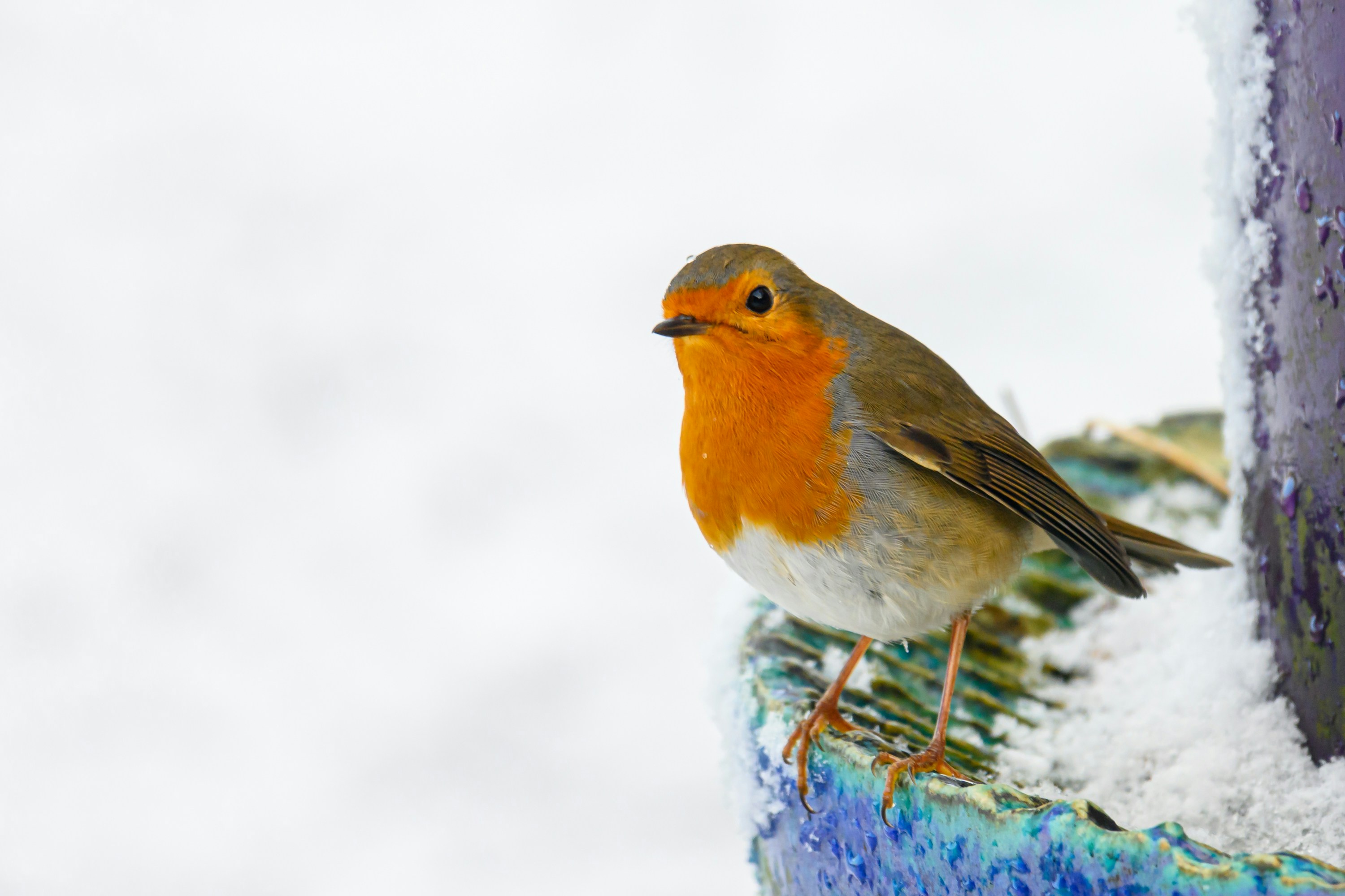 Photo by bmeyendriesch