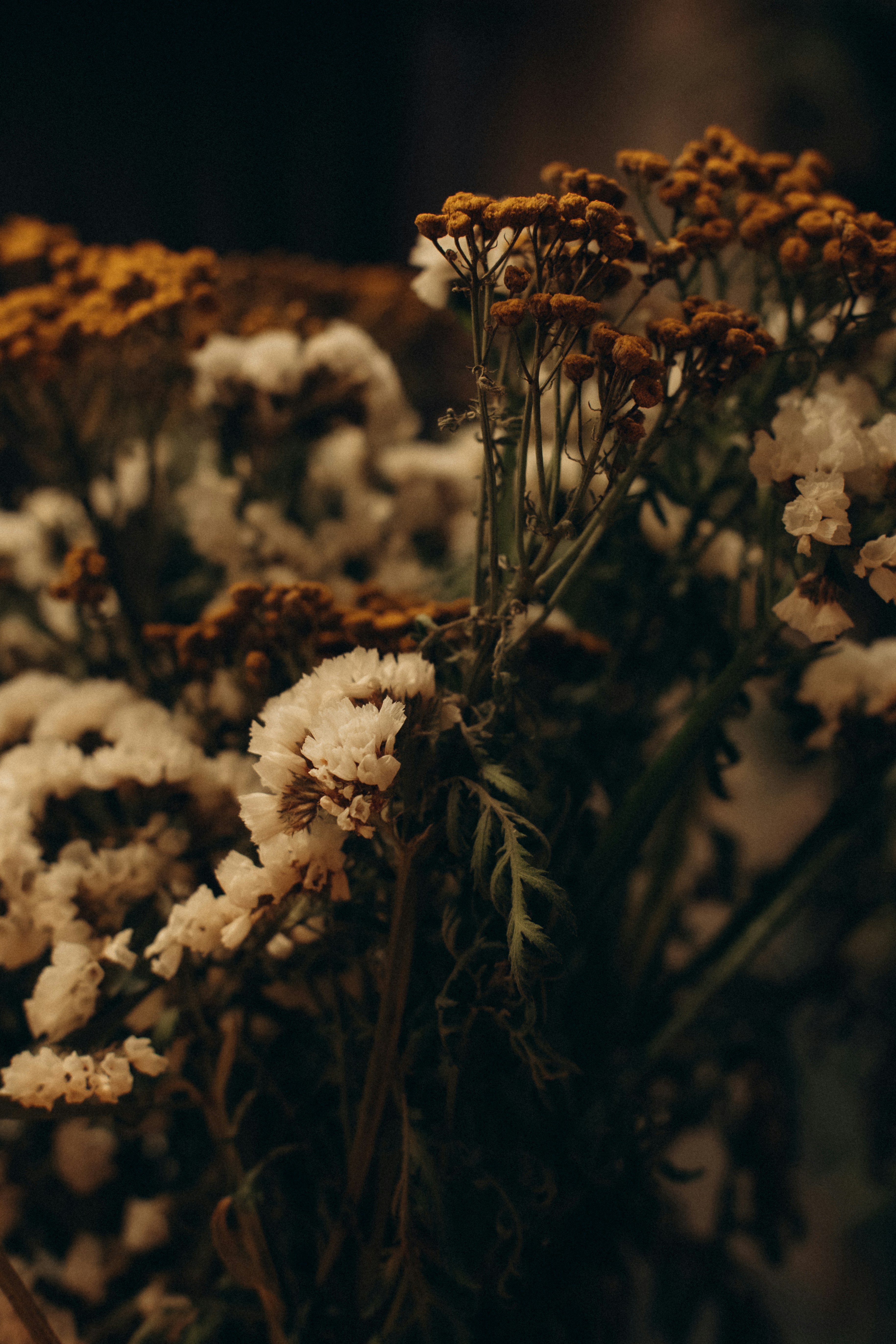 Photo by yana_hurska