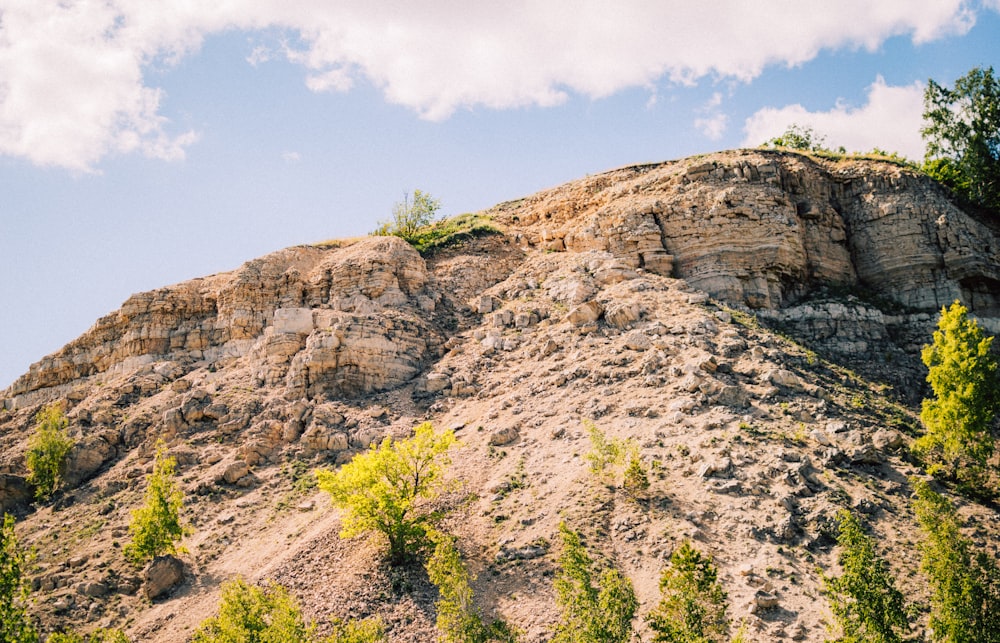 a rocky cliff with trees