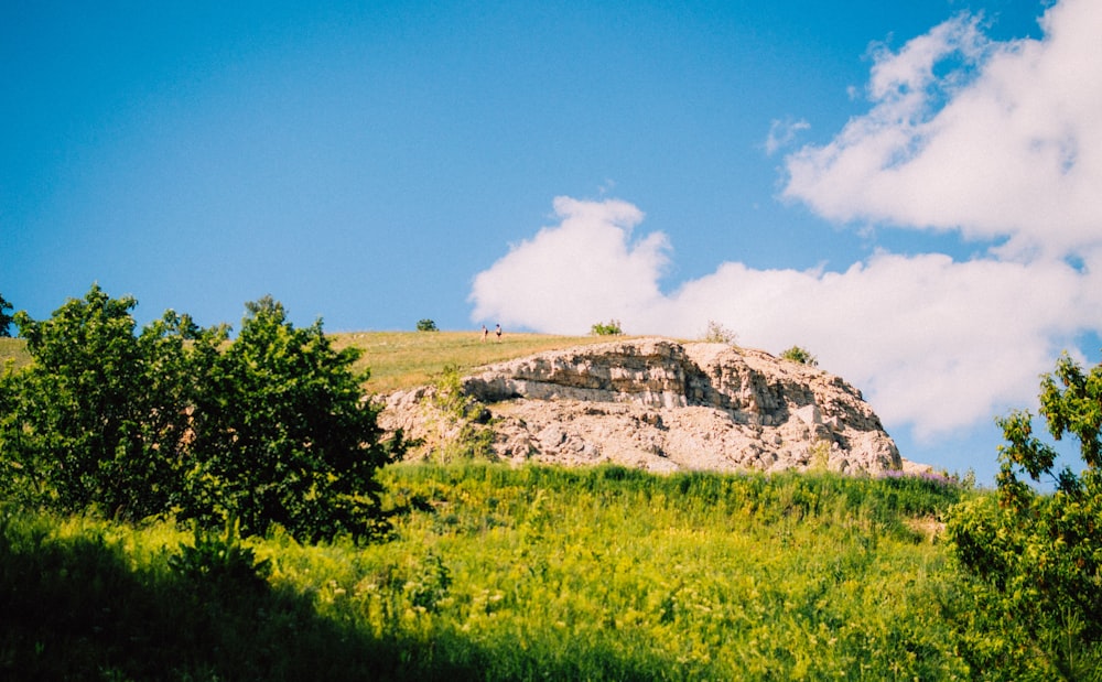 a grassy hill with trees and a rock formation in the distance