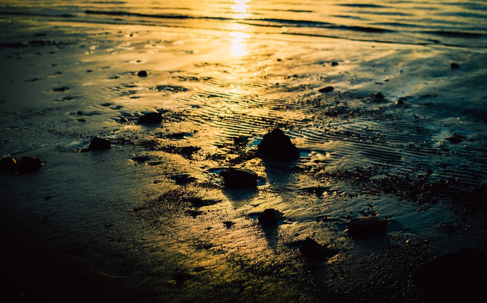 a body of water with rocks in it